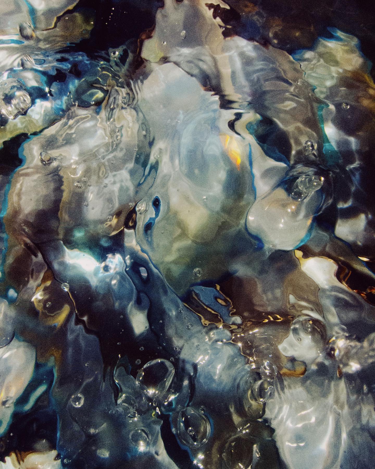 Sara Erasmo Photography