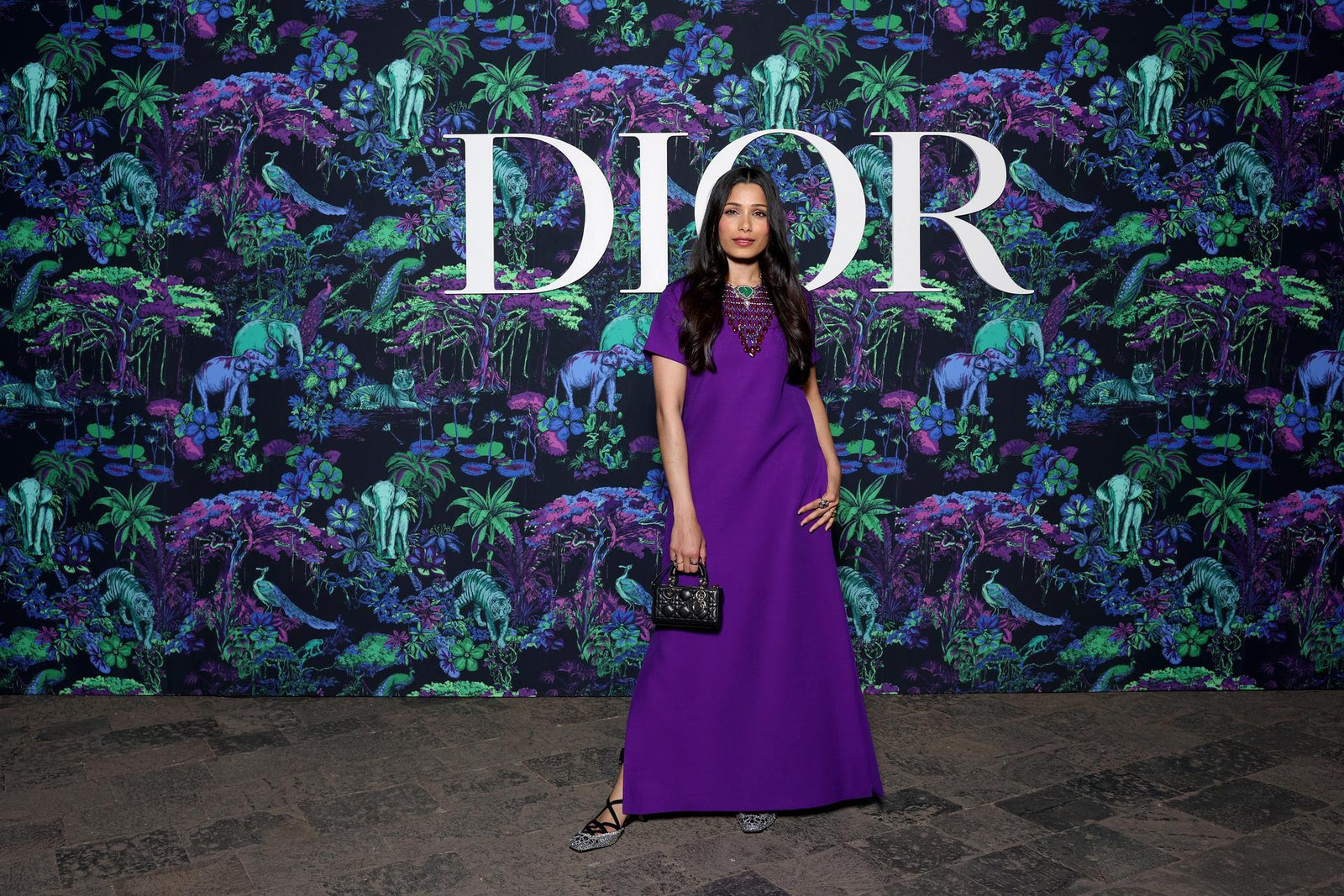 Dior's Fall/Winter 2023 Show In Mumbai Freida Pinto