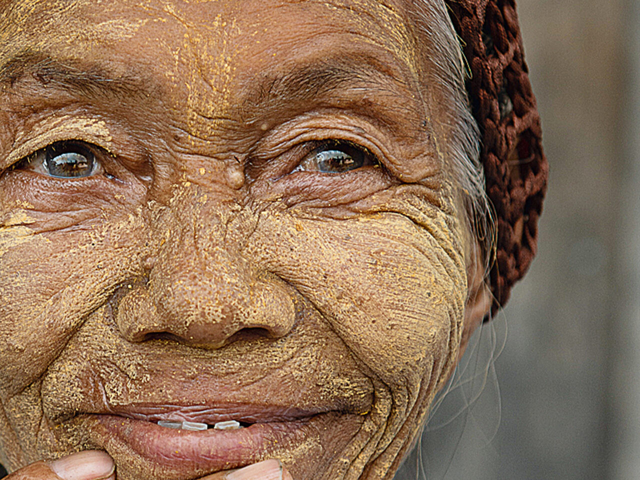 Ayurvedic ingredients