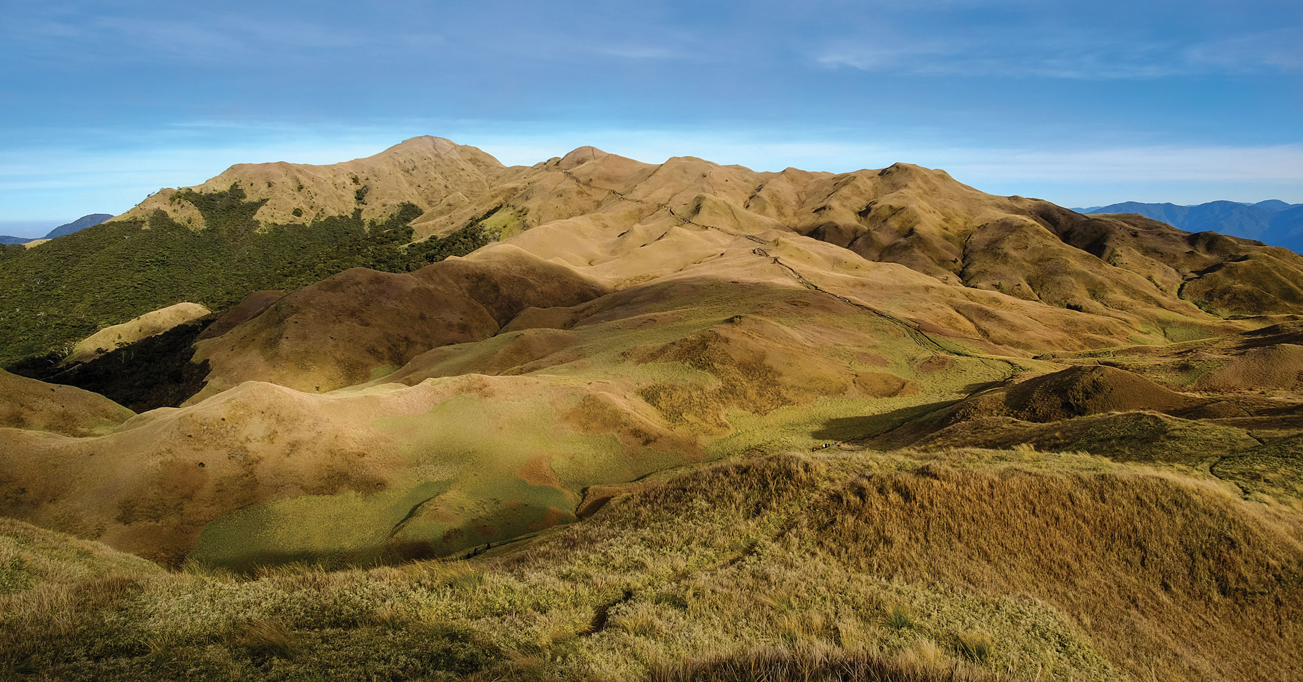 Mountain Pulag