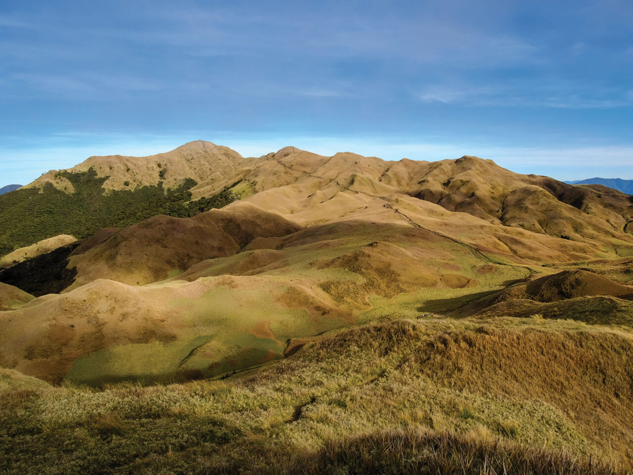 Mountain Pulag