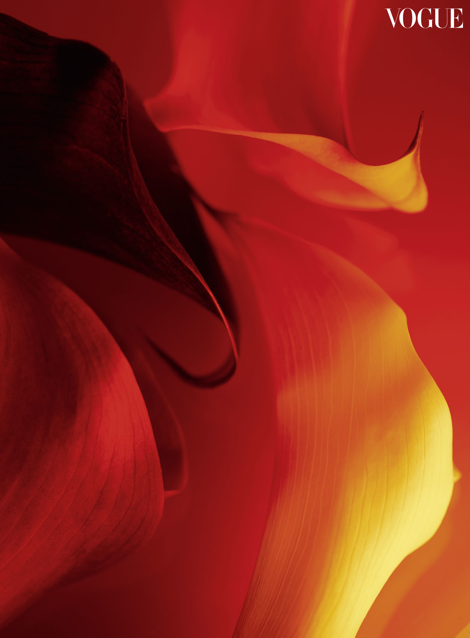 Fashioned detail photo by Harold Julian.