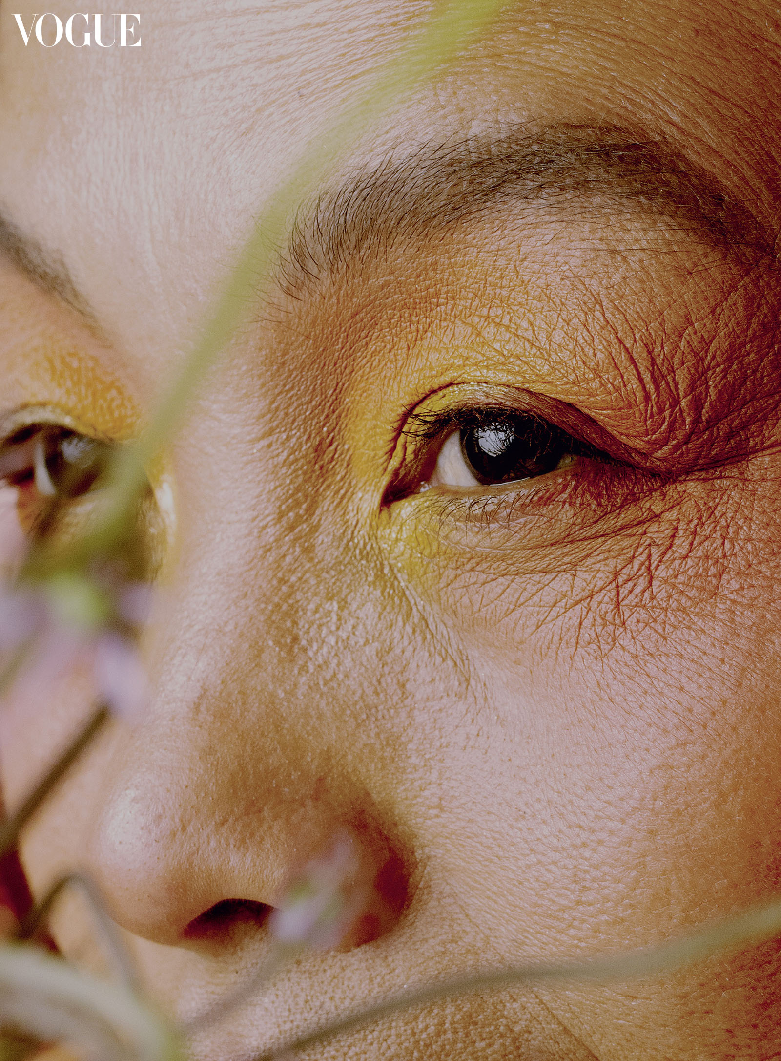 Extreme close-up photo by Harold Julian.