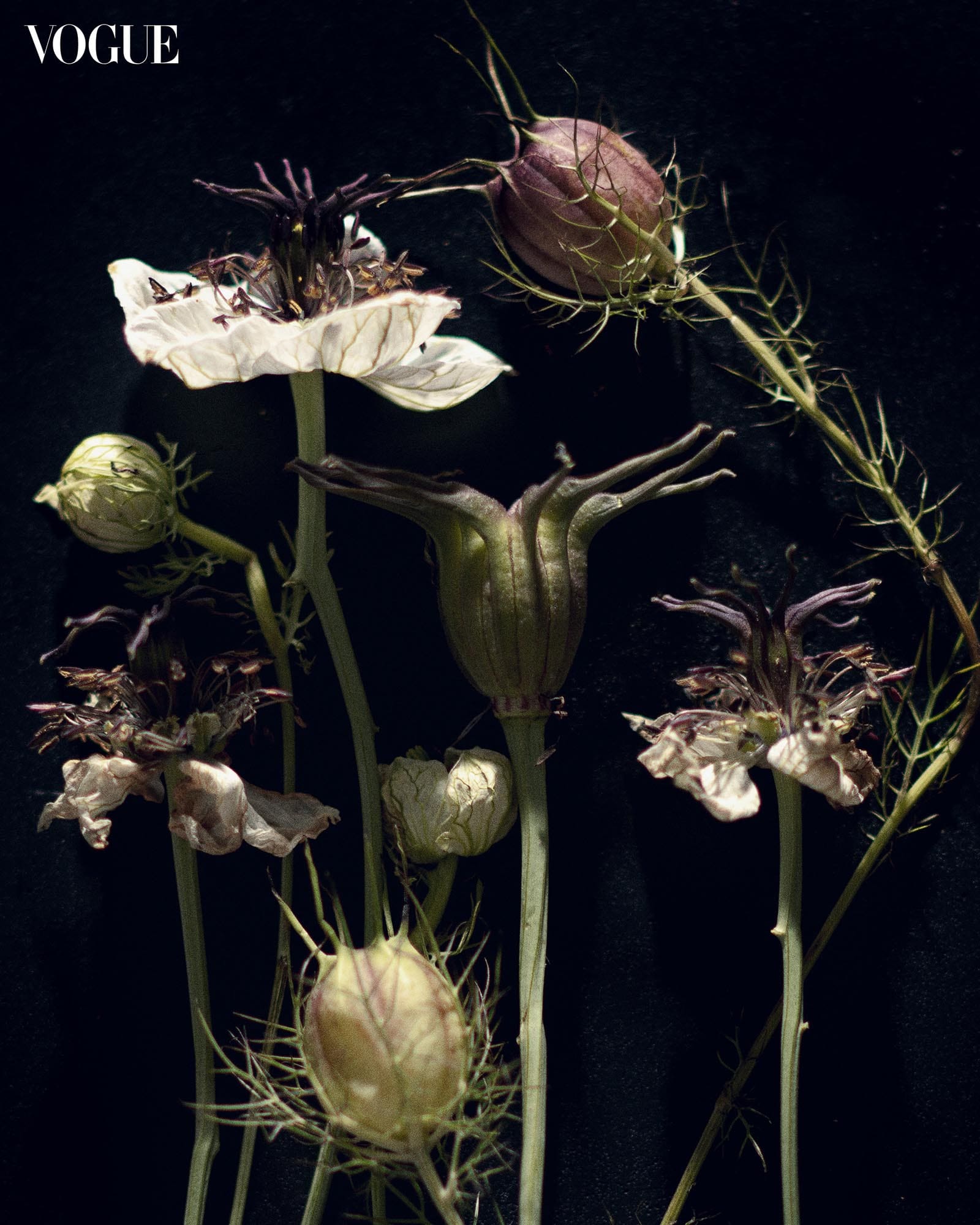 Broadway Eva Noblezada Vogue Philippines cover