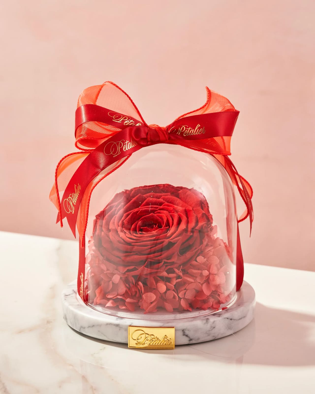 A single rose inside a dome cloche.