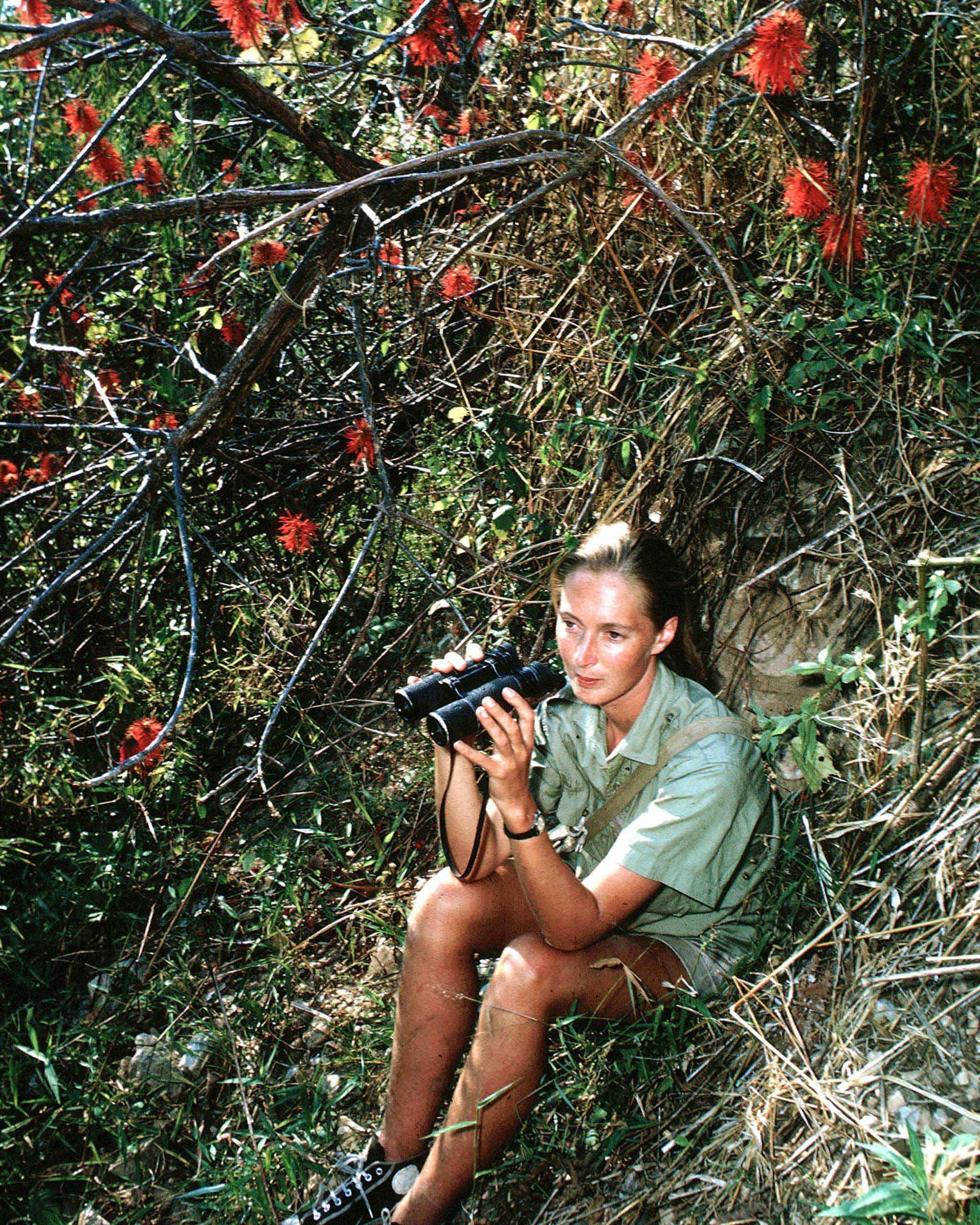 Jane Goodall young Vogue Philippines