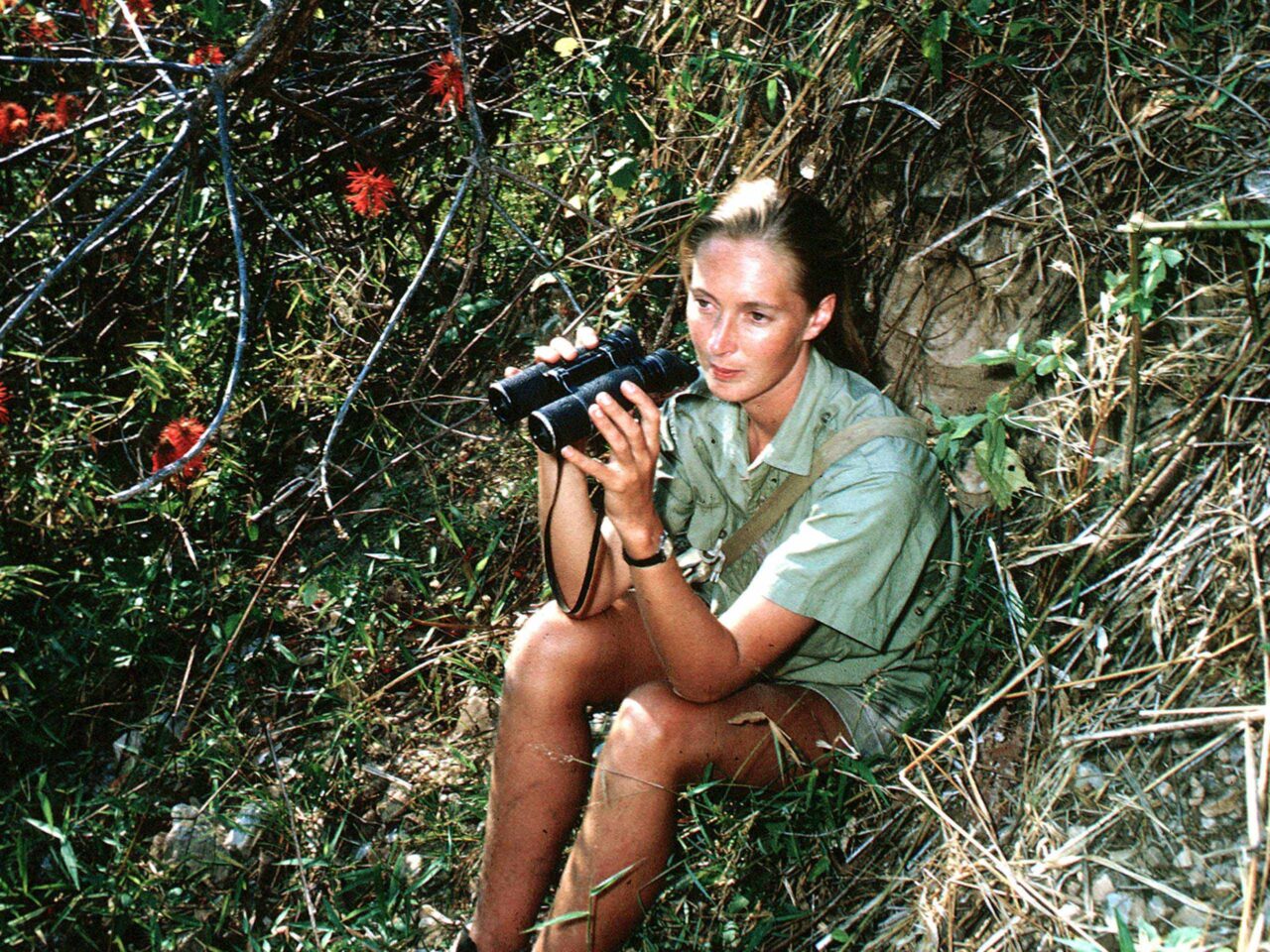 Jane Goodall young Vogue Philippines