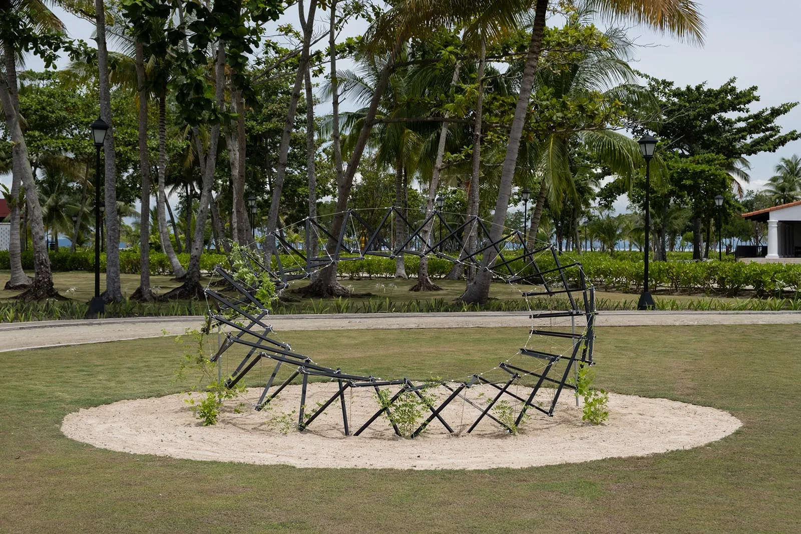 Lesser Speed by James Clar