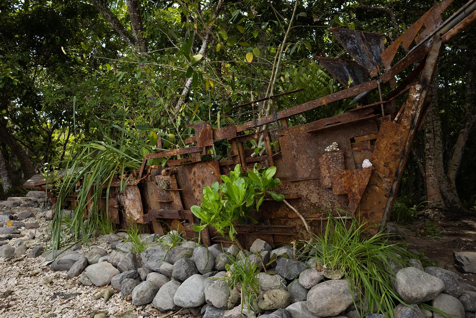 How long after sunset until it gets dark? by Isabel and Alfredo Aquilizan