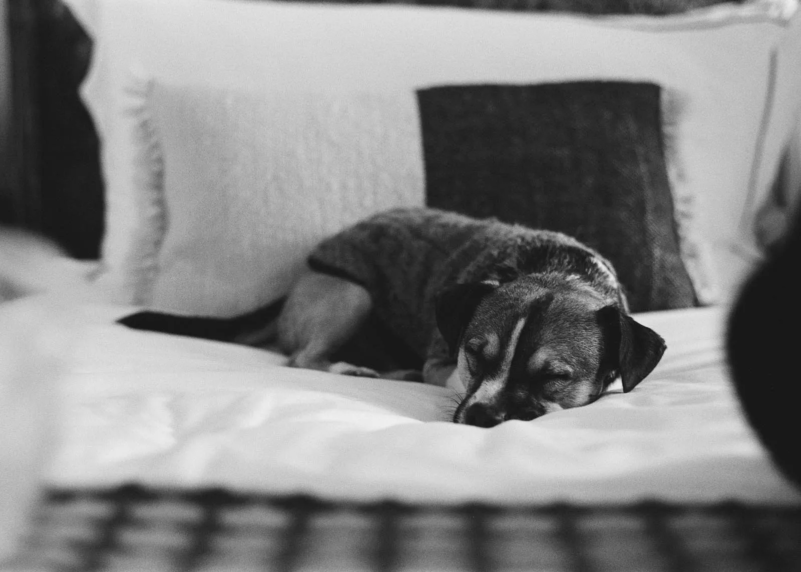 Melissa and Jordan Levy Young New York City Hall Wedding 2025