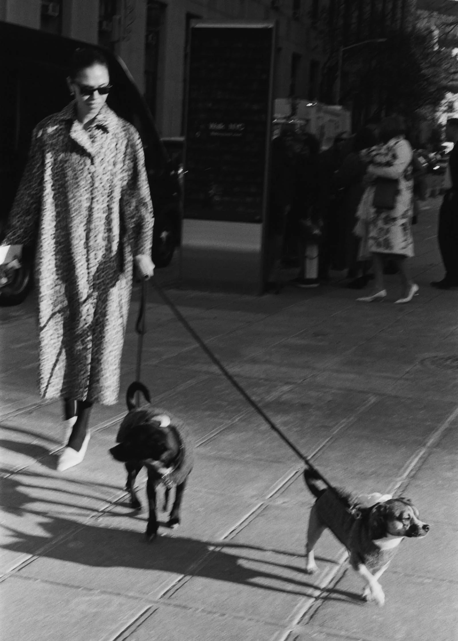 Melissa and Jordan Levy Young New York City Hall Wedding 2025