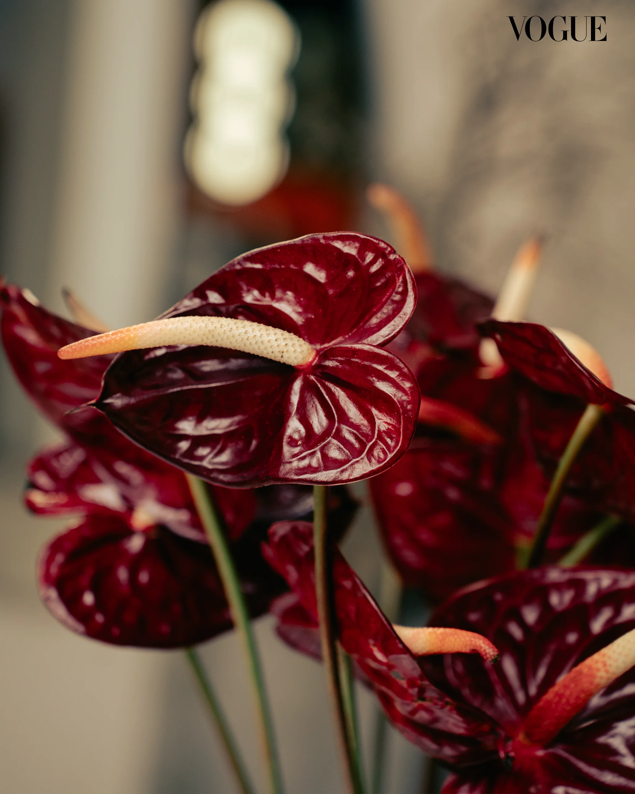 paraluman3 | vogue philippines