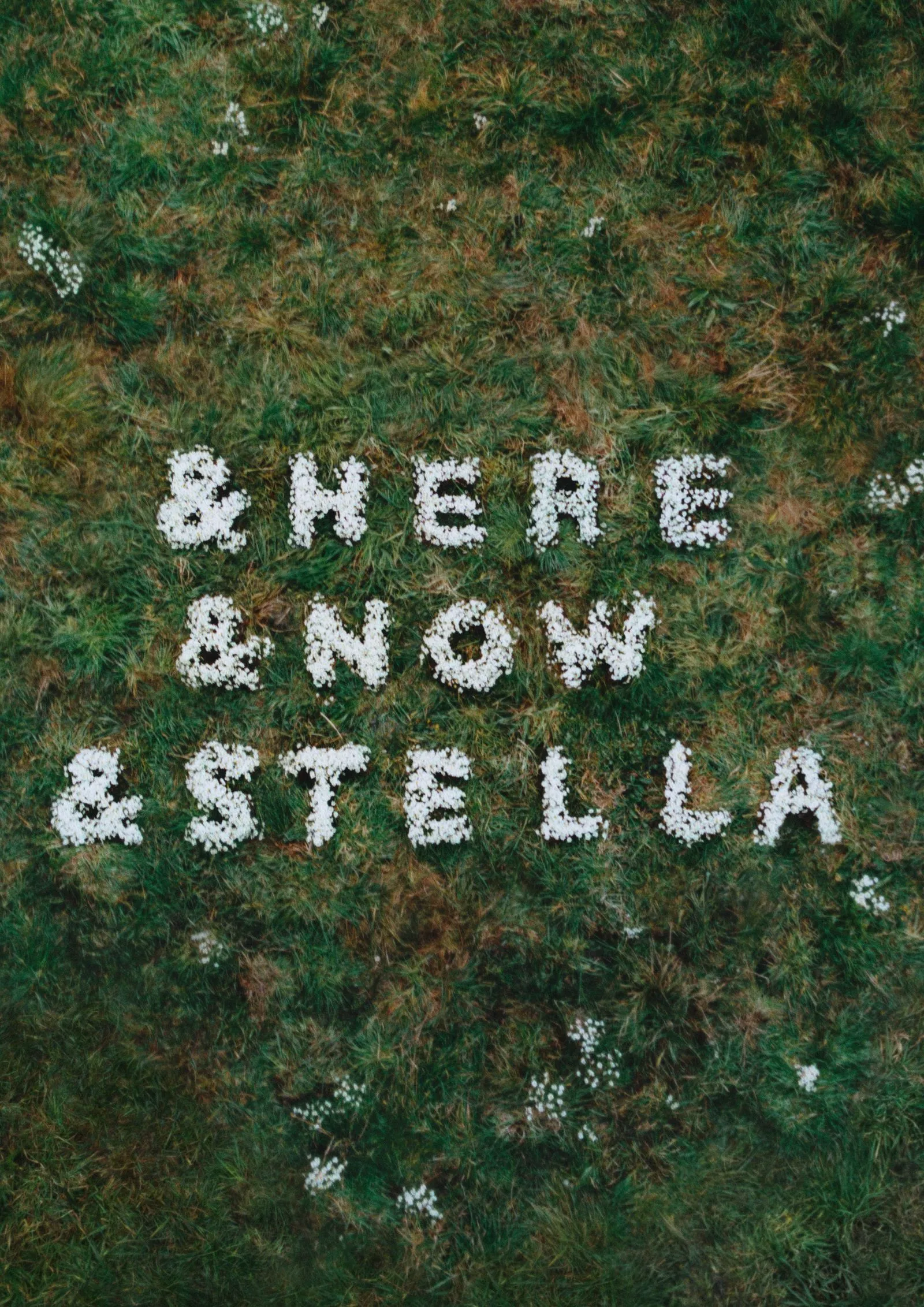 Words formed from white flowers on grass spell 'HERE NOW & STELLA'.