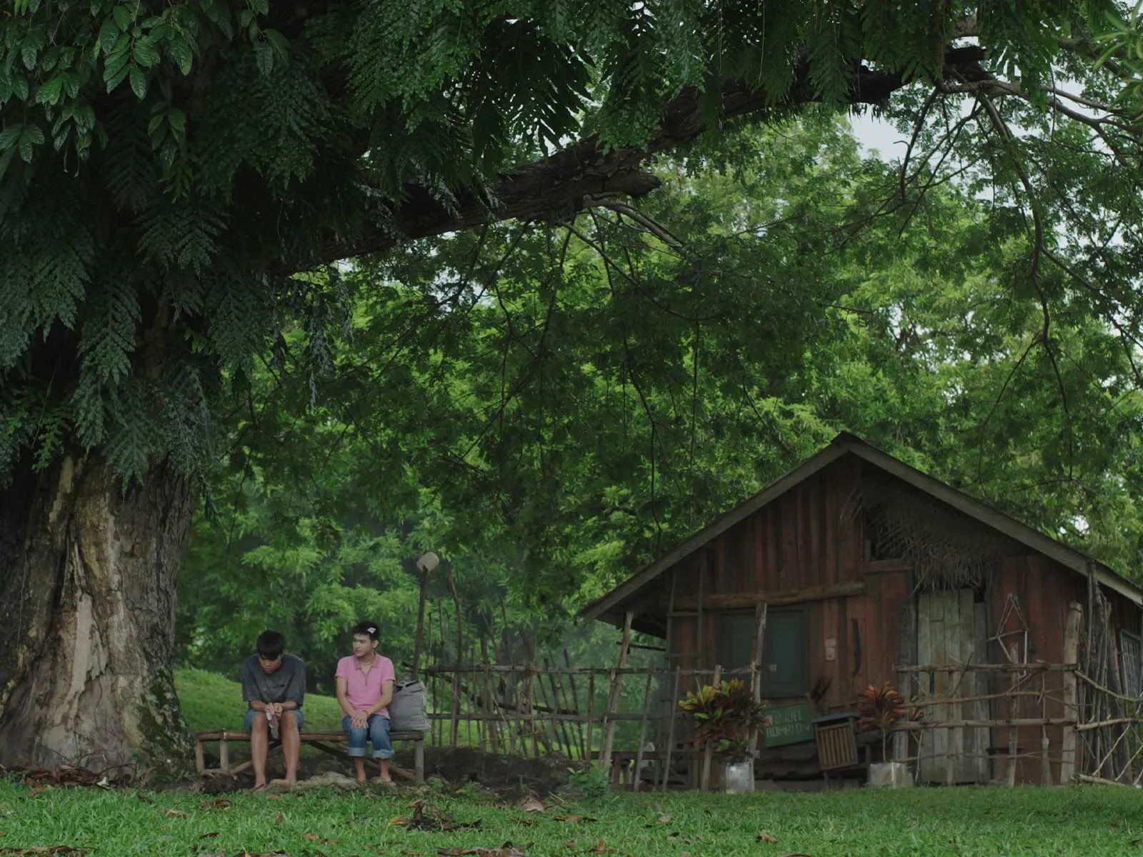 Two people sit on a wooden bench under a large tree beside a rustic wooden house in a green yard.