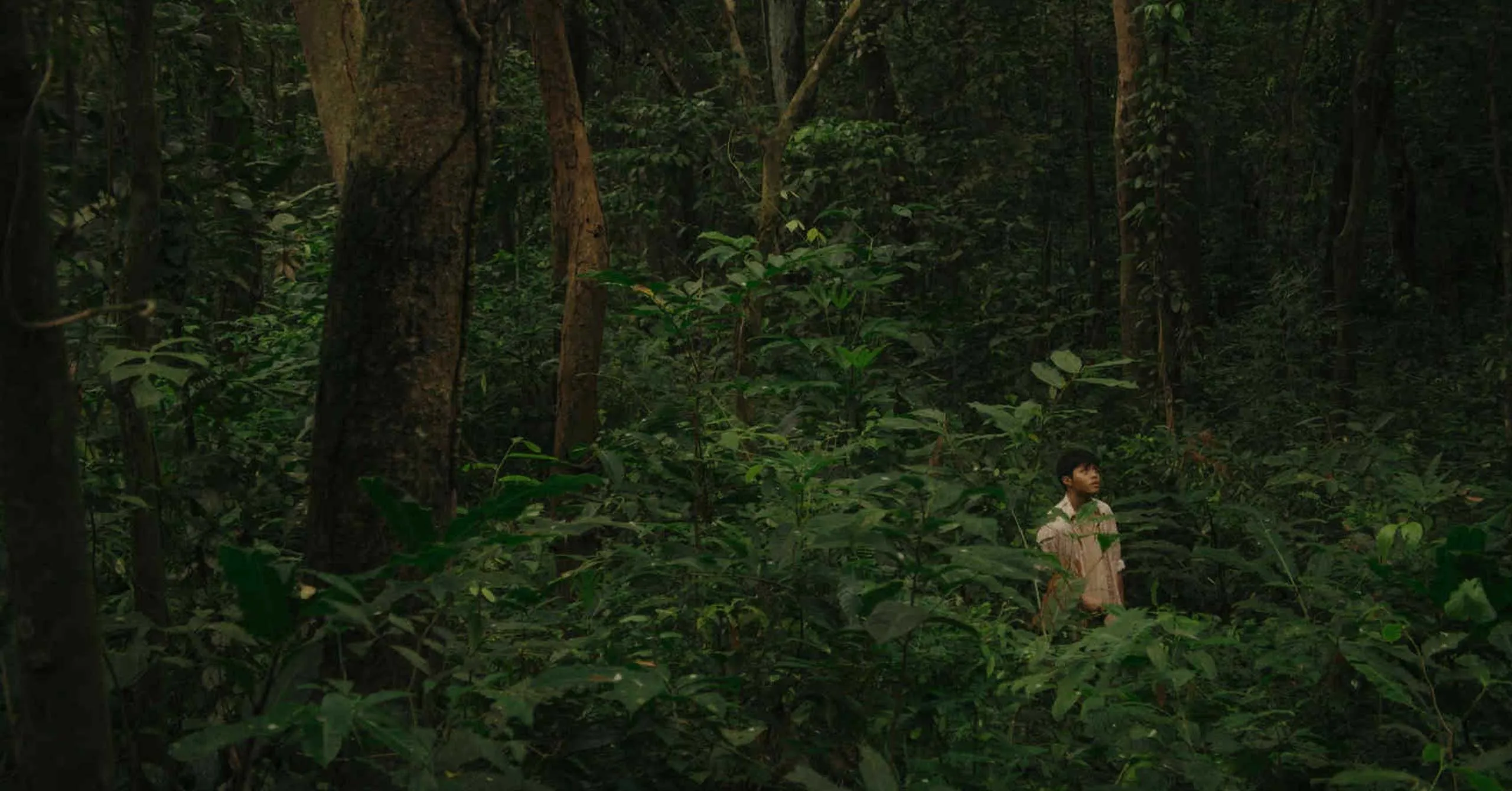 A young man in a light shirt stands in a dense green forest, surrounded by tall trees and undergrowth.