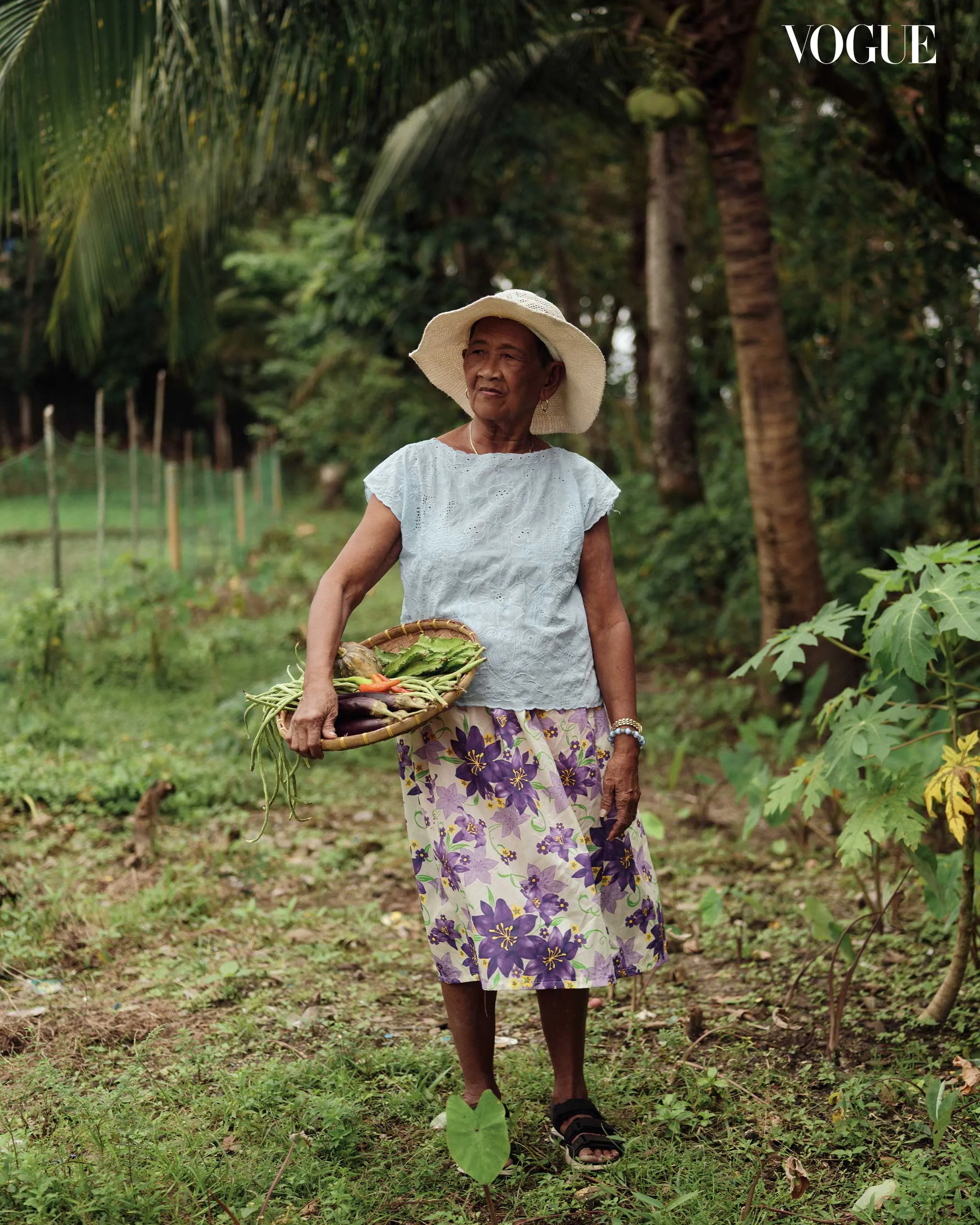 Older woman wearing a straw hat and light blue blouse holds a wicker basket of freshly harvested vegetables in a garden ground.