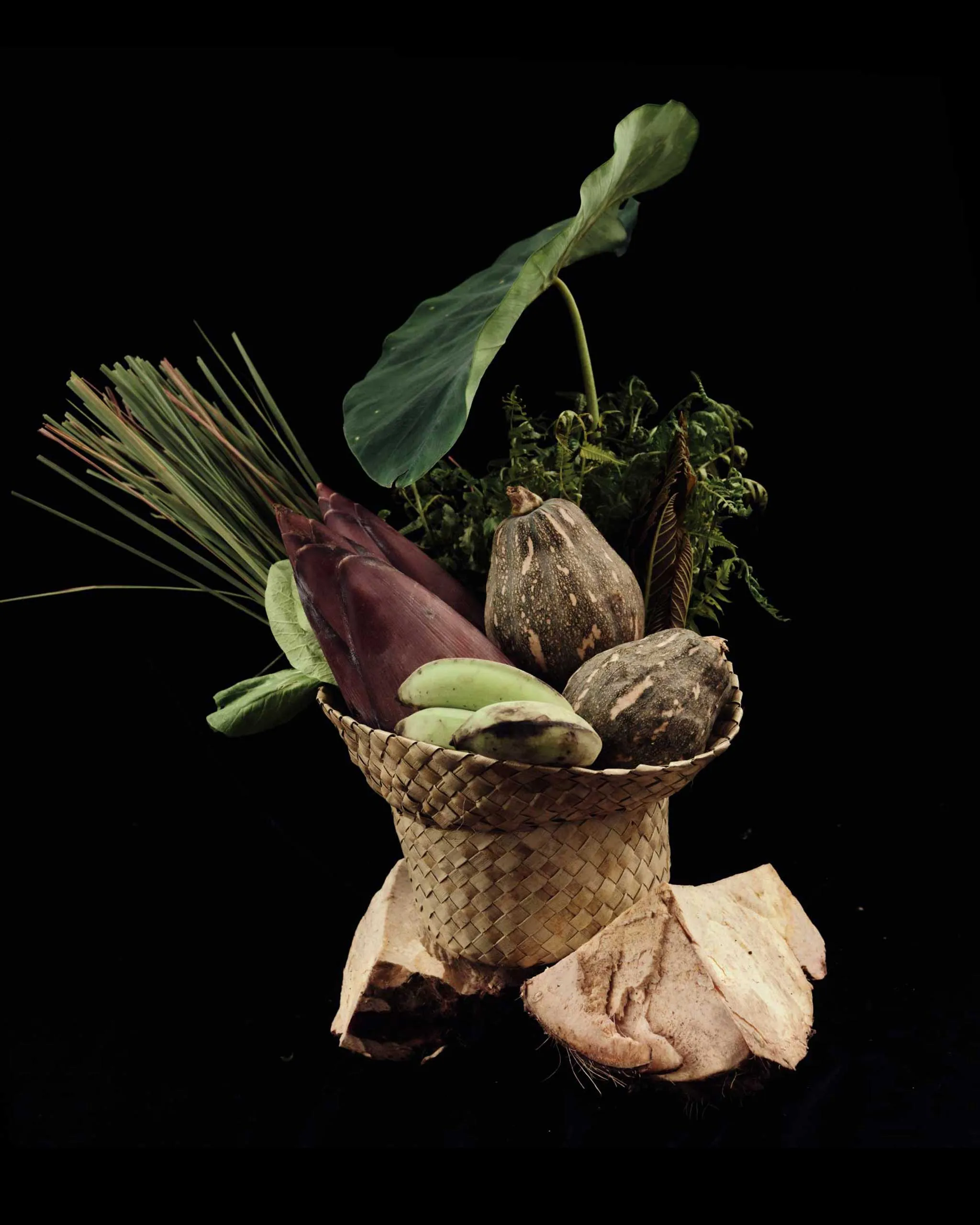 Basket of gourds and squash with leafy greens on a rocky base against a black background, autumn harvest display