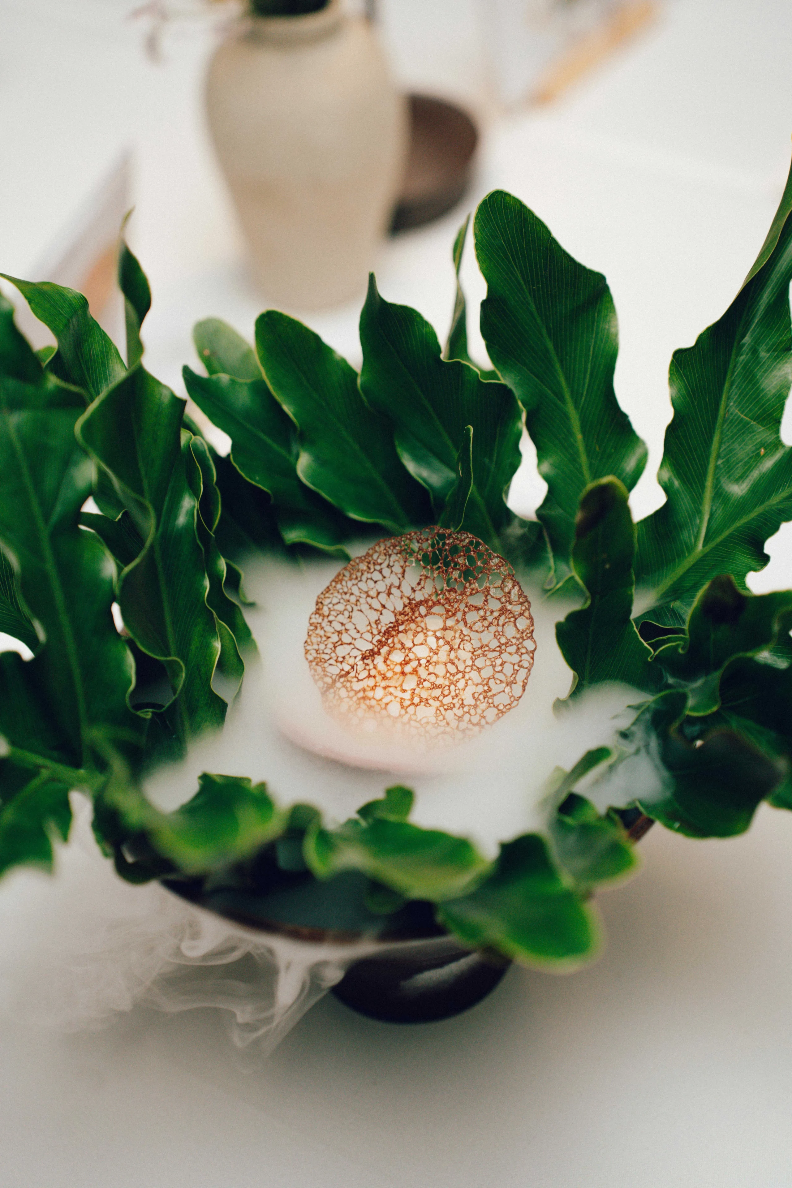 Green leafy plant in a vase with a copper lattice ornament at the base, soft white background and a misty effect nearby.