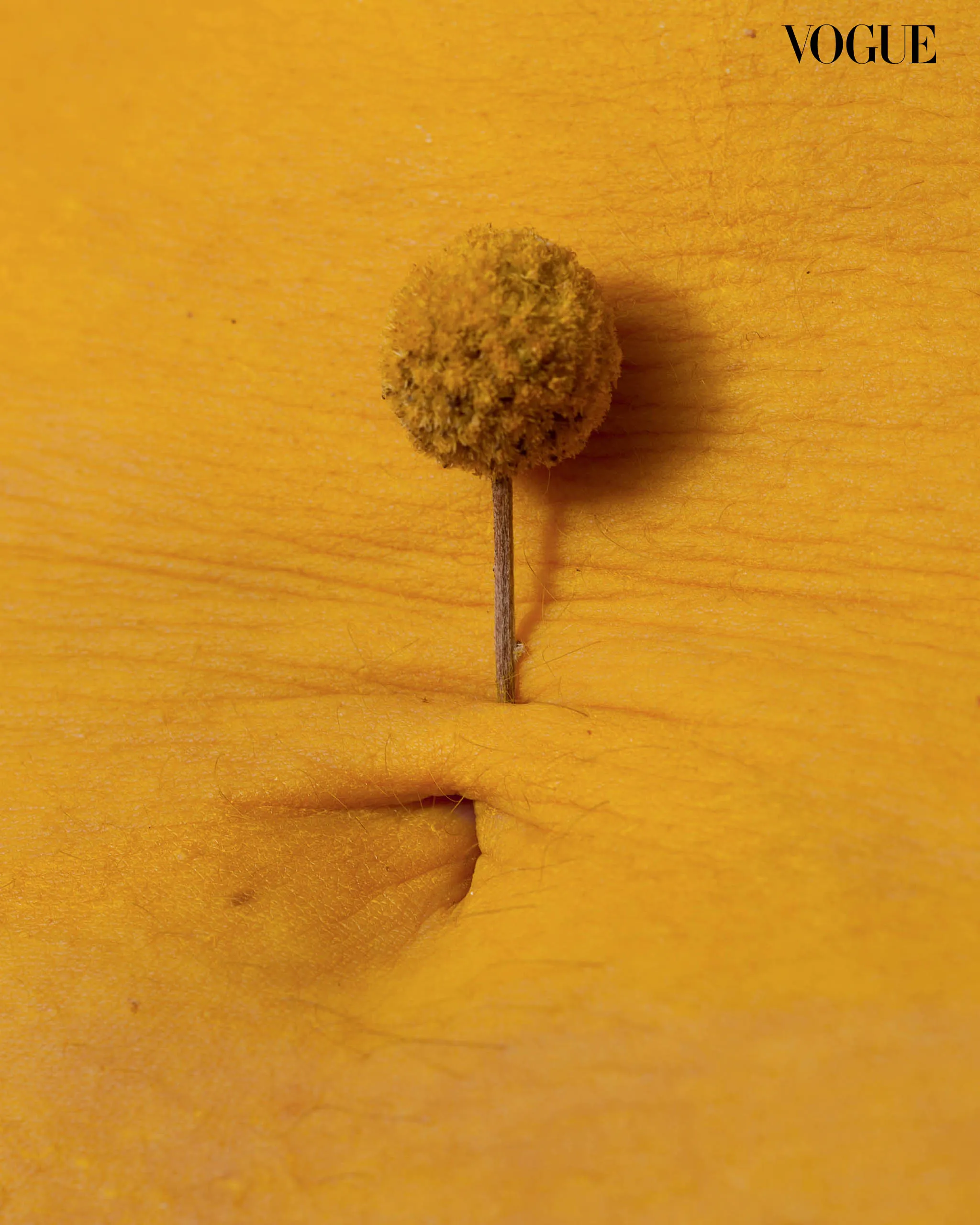 Close-up of a small brown dried seed head on a thin stem against a bright yellow wooden background, with 'VOGUE' in the top-right corner.