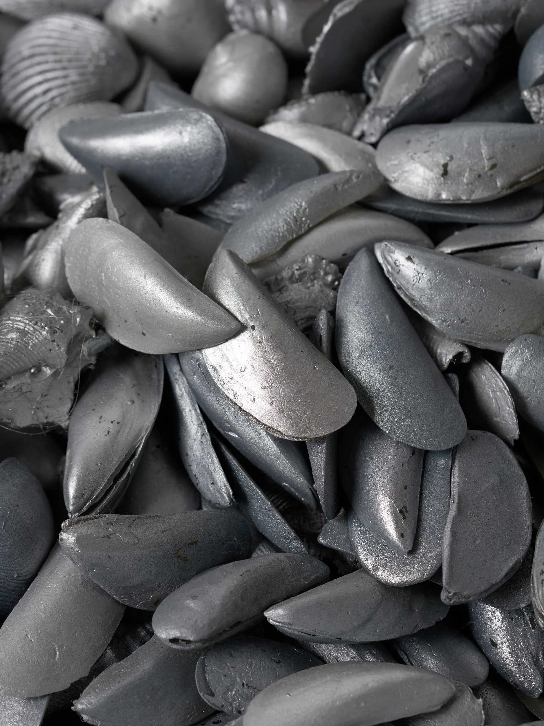 Close-up of a pile of flat, teardrop-shaped gray seeds with dusty surfaces overlapping each other.