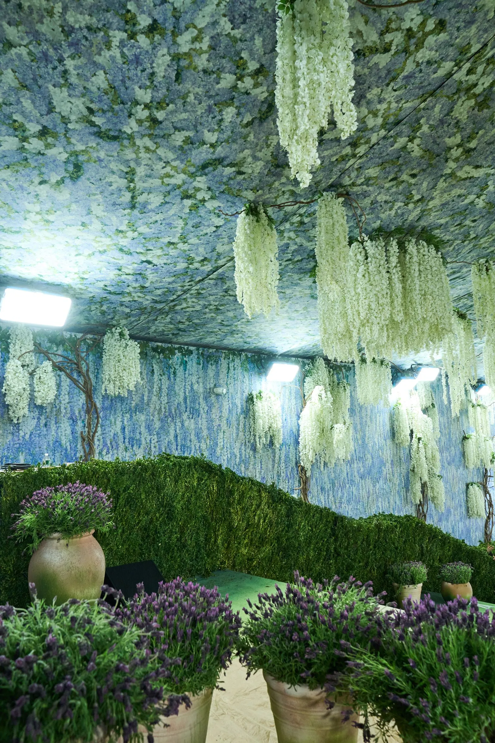 Interior garden display with hanging white blooms and purple lavender pots against a blue-green patterned backdrop.
