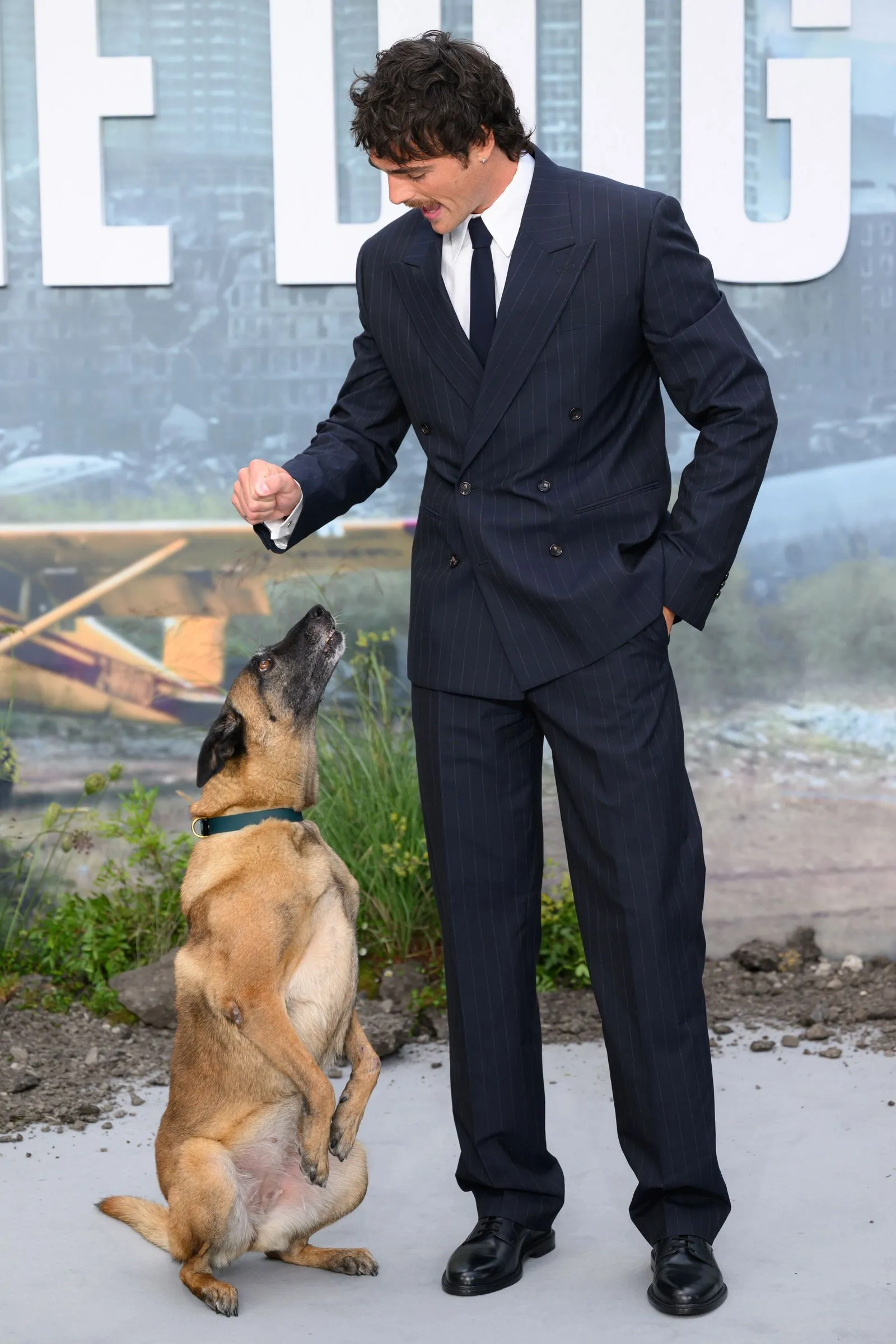 Man in a navy pinstripe suit bends slightly, reaching toward a tan dog that stands on its hind legs outdoors.