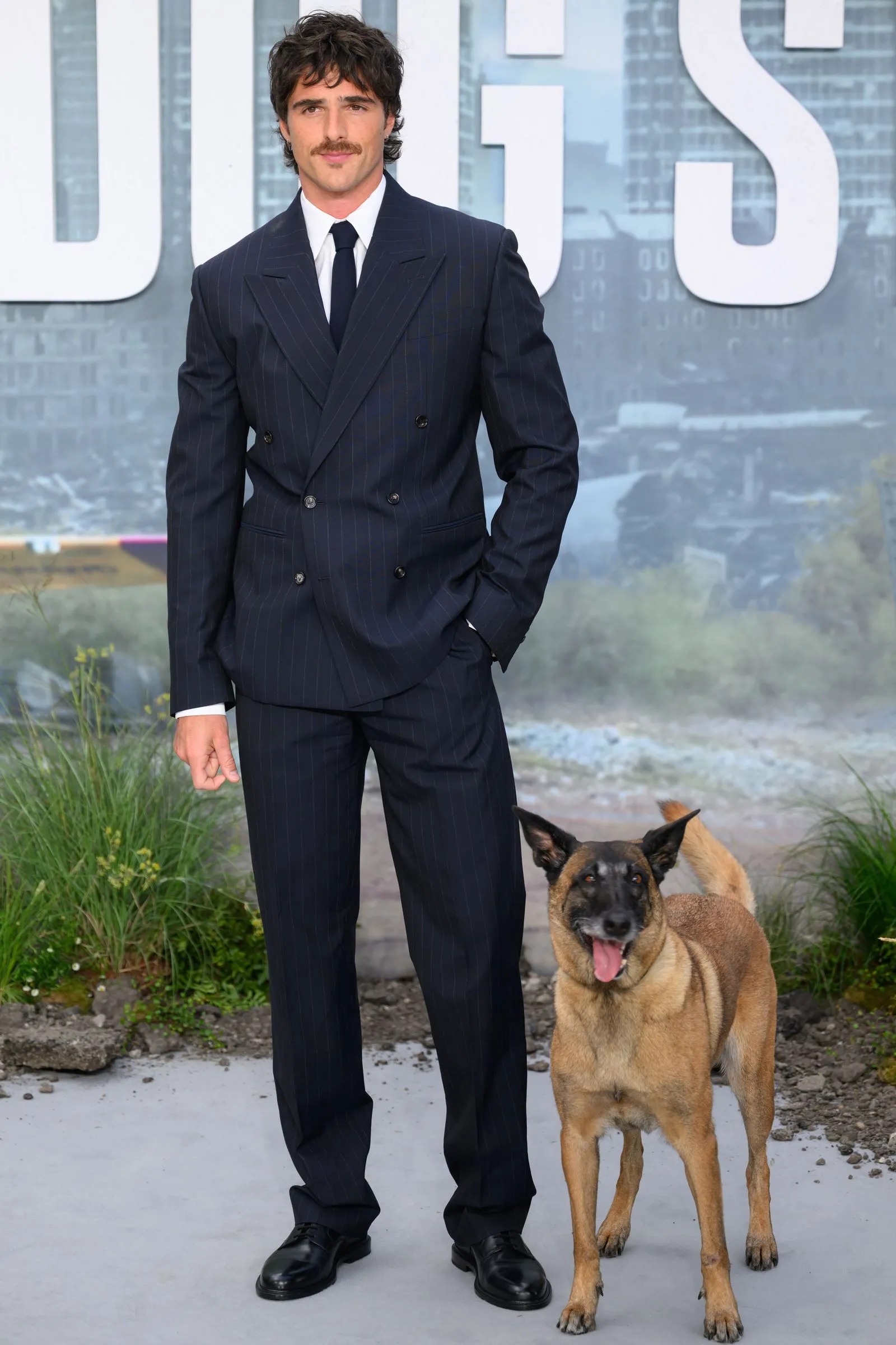 Man in a dark pinstripe suit posing outdoors beside a tan Belgian Malinois with its tongue out.