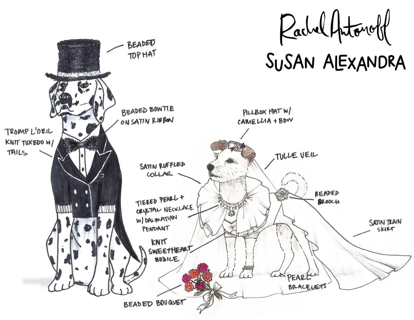 Illustration of two dogs in wedding outfits: a spotted dog in a tuxedo and a bridal dog in a gown with veil and bouquet as labeled.