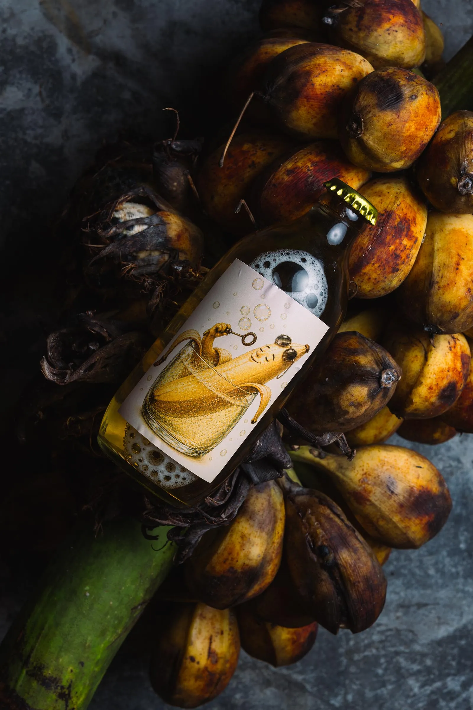 Beer bottle nestled among brown cacao pods with bubbles visible on the neck, label featuring a vintage illustration