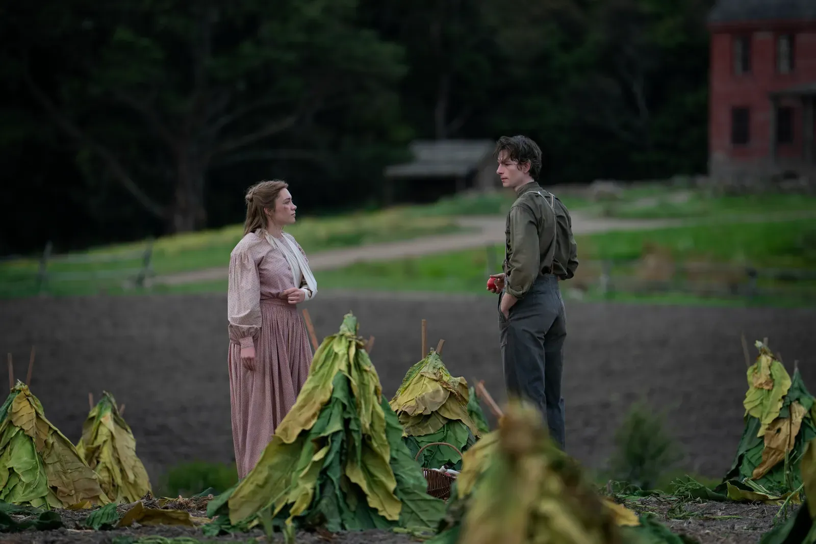 Two people in period clothes stand in a field facing each other, with withered plants in the foreground.