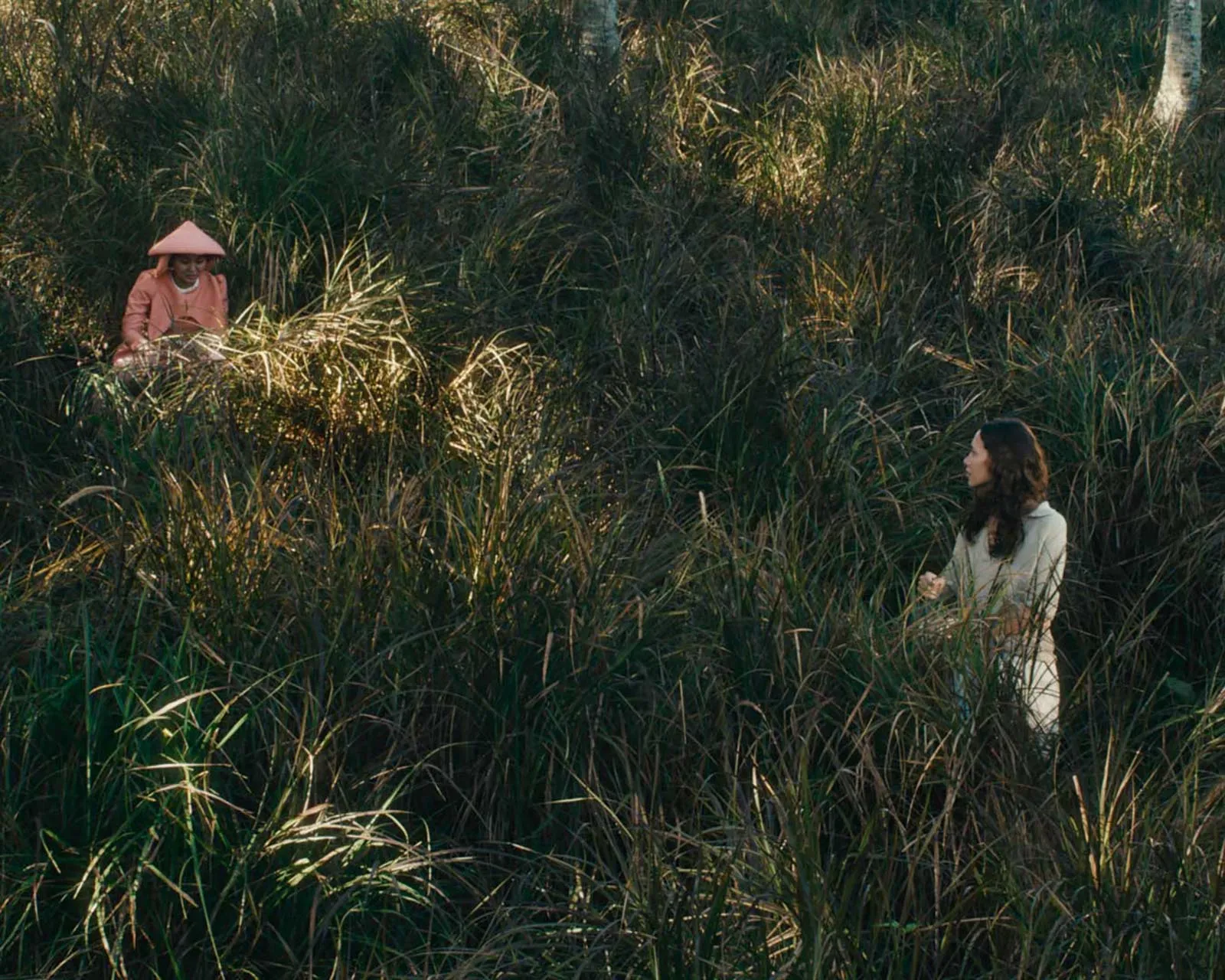 Two people stand in a tall grassy field; one in pink traditional clothing with a conical hat sits among the grass, the other in white stands nearby.