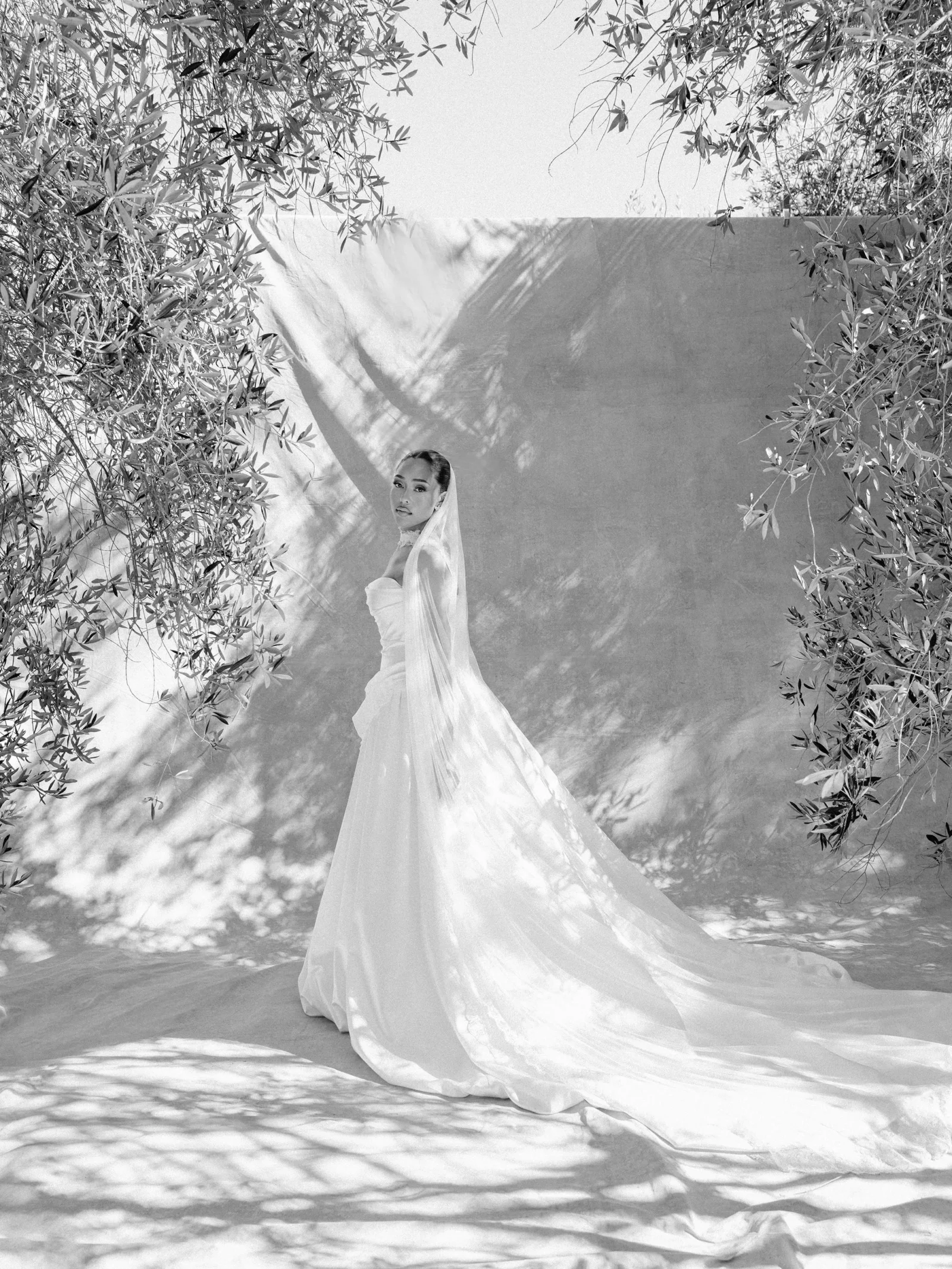 Bride in a strapless wedding gown with a long veil stands in an outdoor setting framed by leafy branches, sunlight casting shadows on the ground.