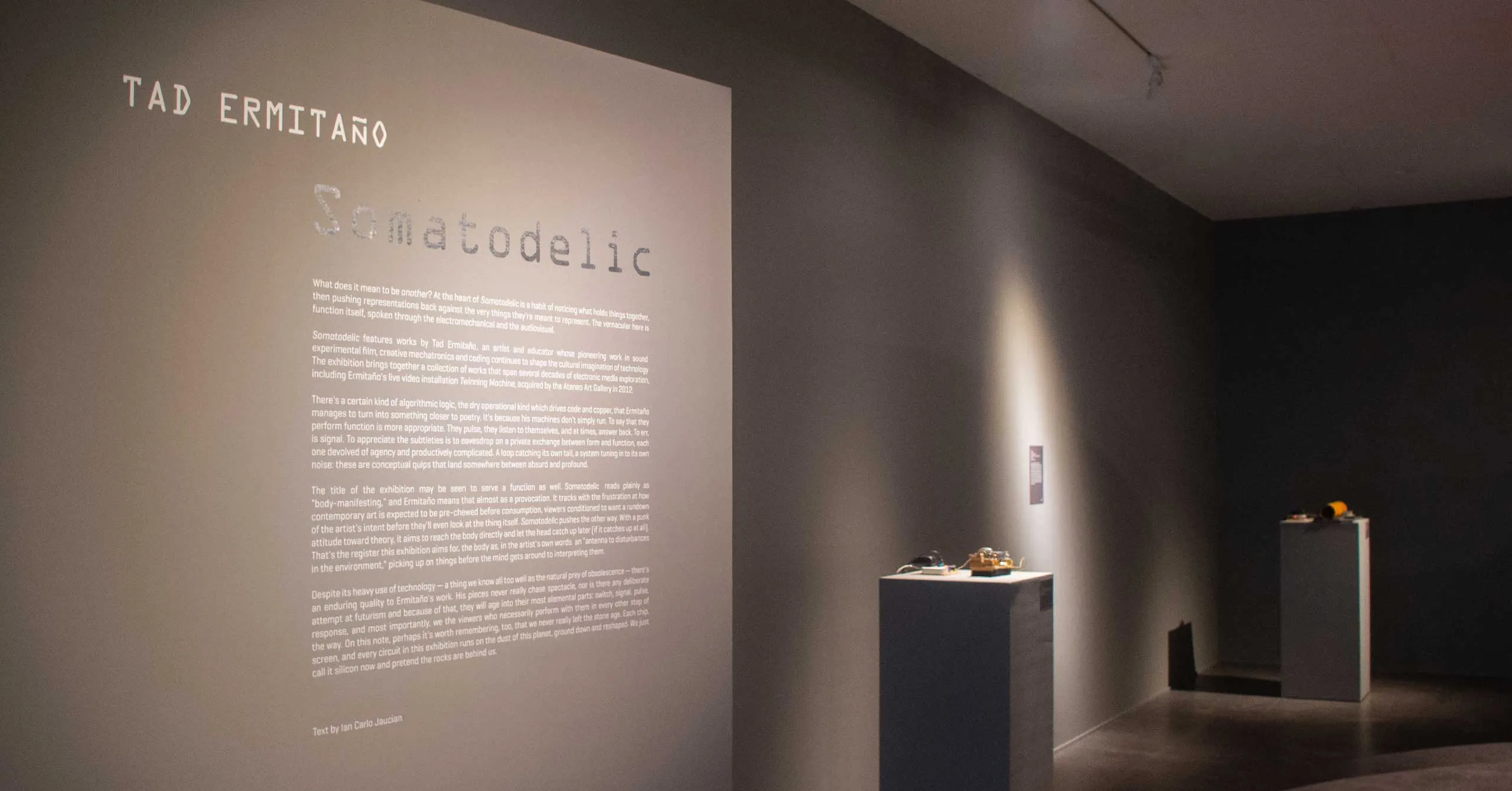 Museum wall with large informational text panel about Tad Ermitaño; dim gallery lighting and display plinths visible along the wall.