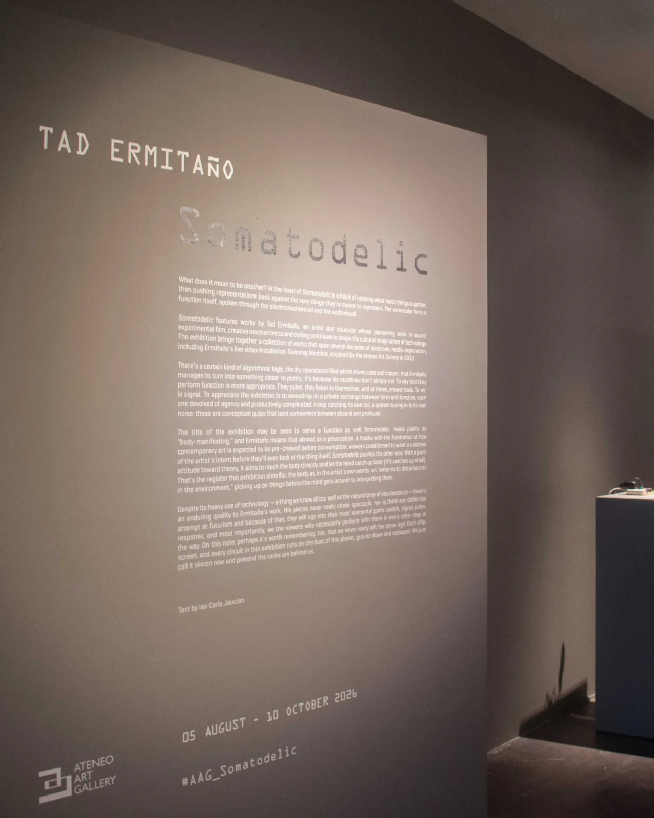 Museum wall with large informational text panel about Tad Ermitaño; dim gallery lighting and display plinths visible along the wall.