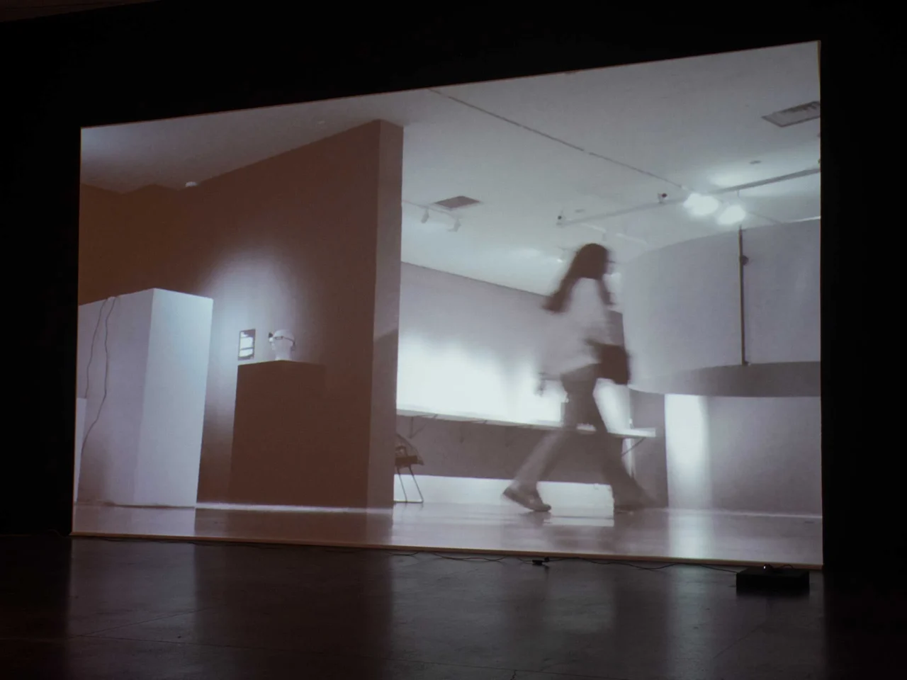 Museum wall with large informational text panel about Tad Ermitaño; dim gallery lighting and display plinths visible along the wall.