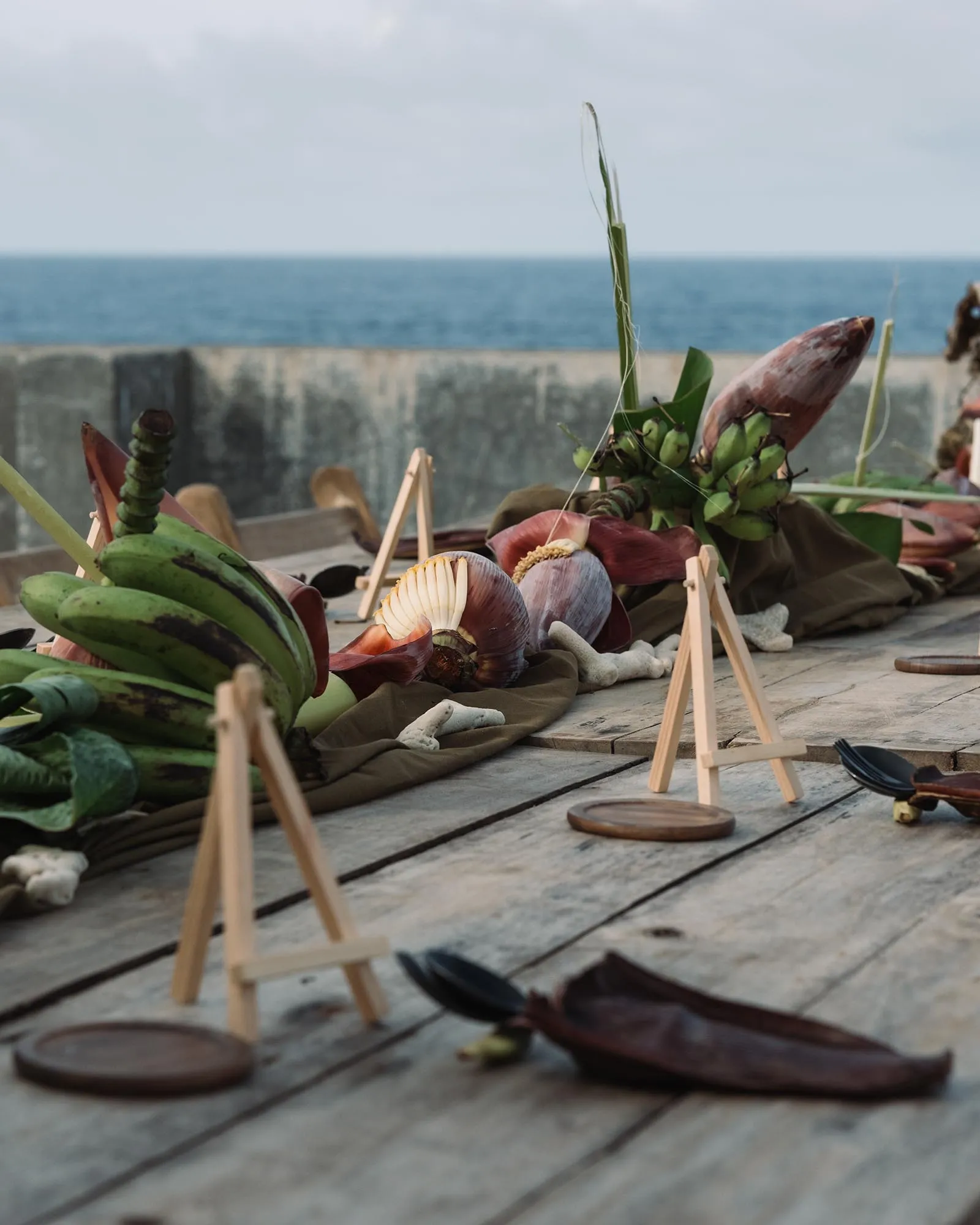 Coastal display of seashells and tropical greenery arranged on a weathered wooden deck with the sea in the background.