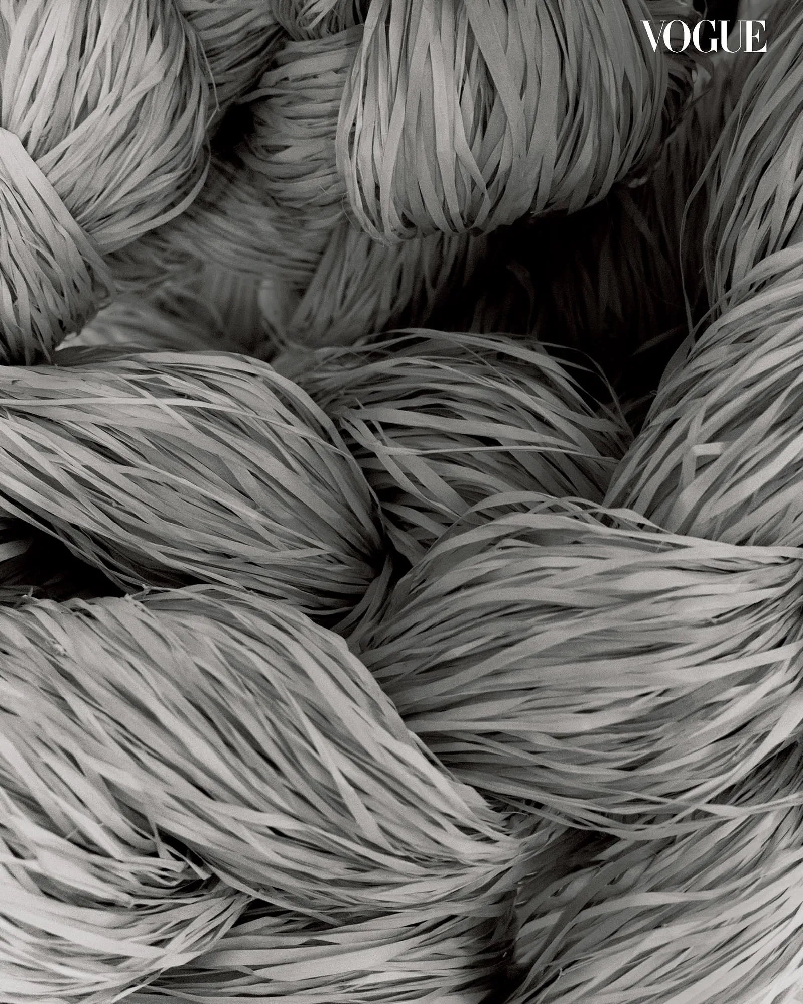 Close-up, black-and-white shot of overlapping palm fronds creating abstract texture; Vogue logo visible in top-right corner.