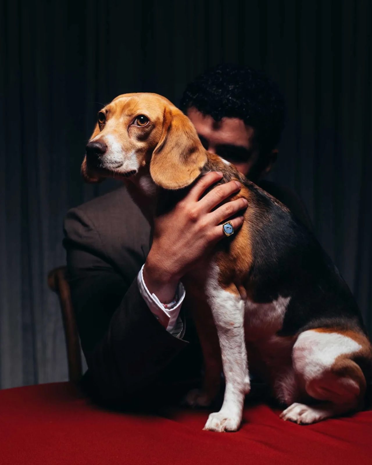 Man in a brown suit dining with a beagle at a candlelit table, floral centerpiece between them.]','A man in a brown suit sits opposite a beagle at a formal dinner table with a floral centerpiece.']]}anejo?Oops need proper JSON. Let's craft properly.