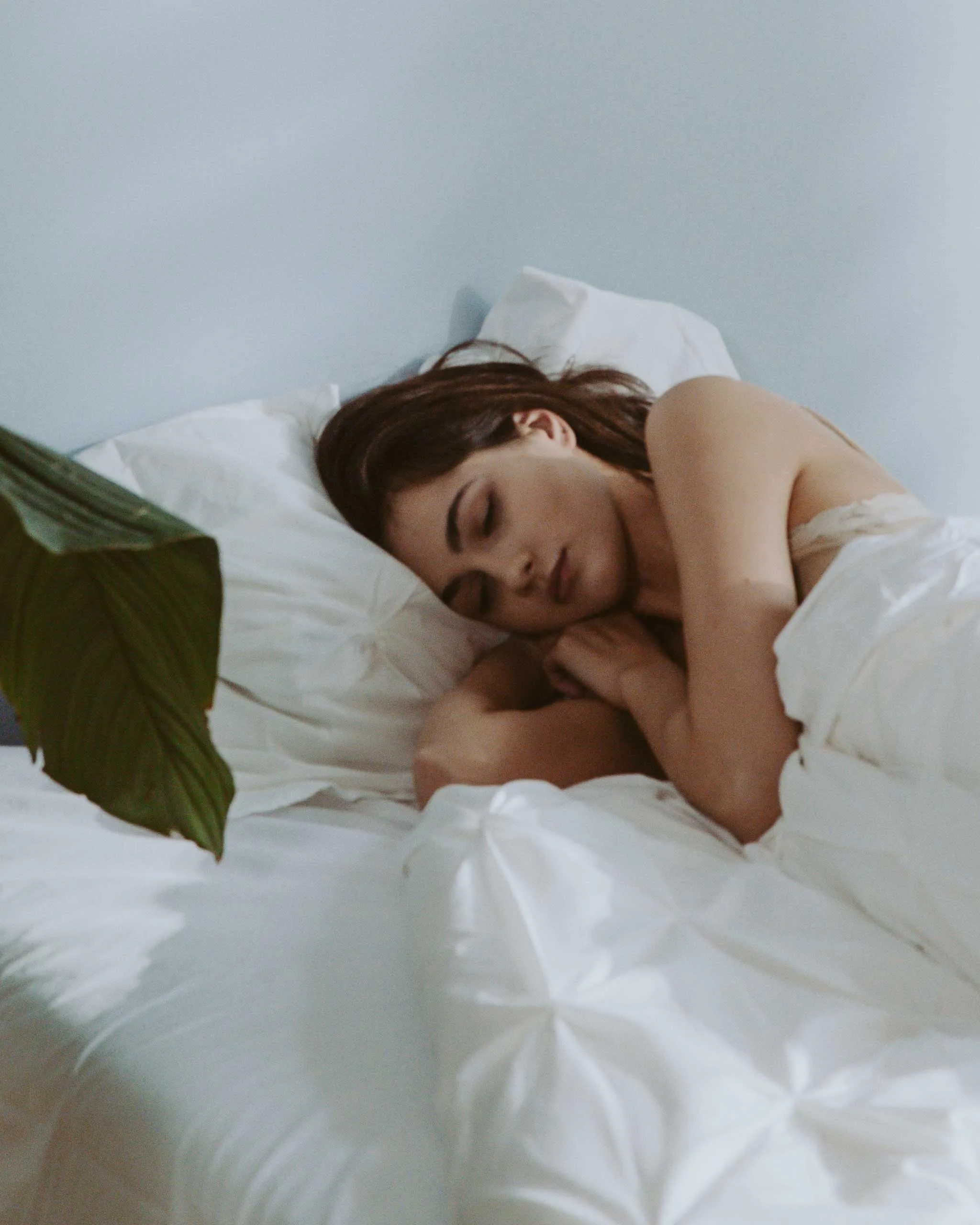 Person sleeping on a white bed with a blue wall in the background; green plant leaves in the foreground partially visible.