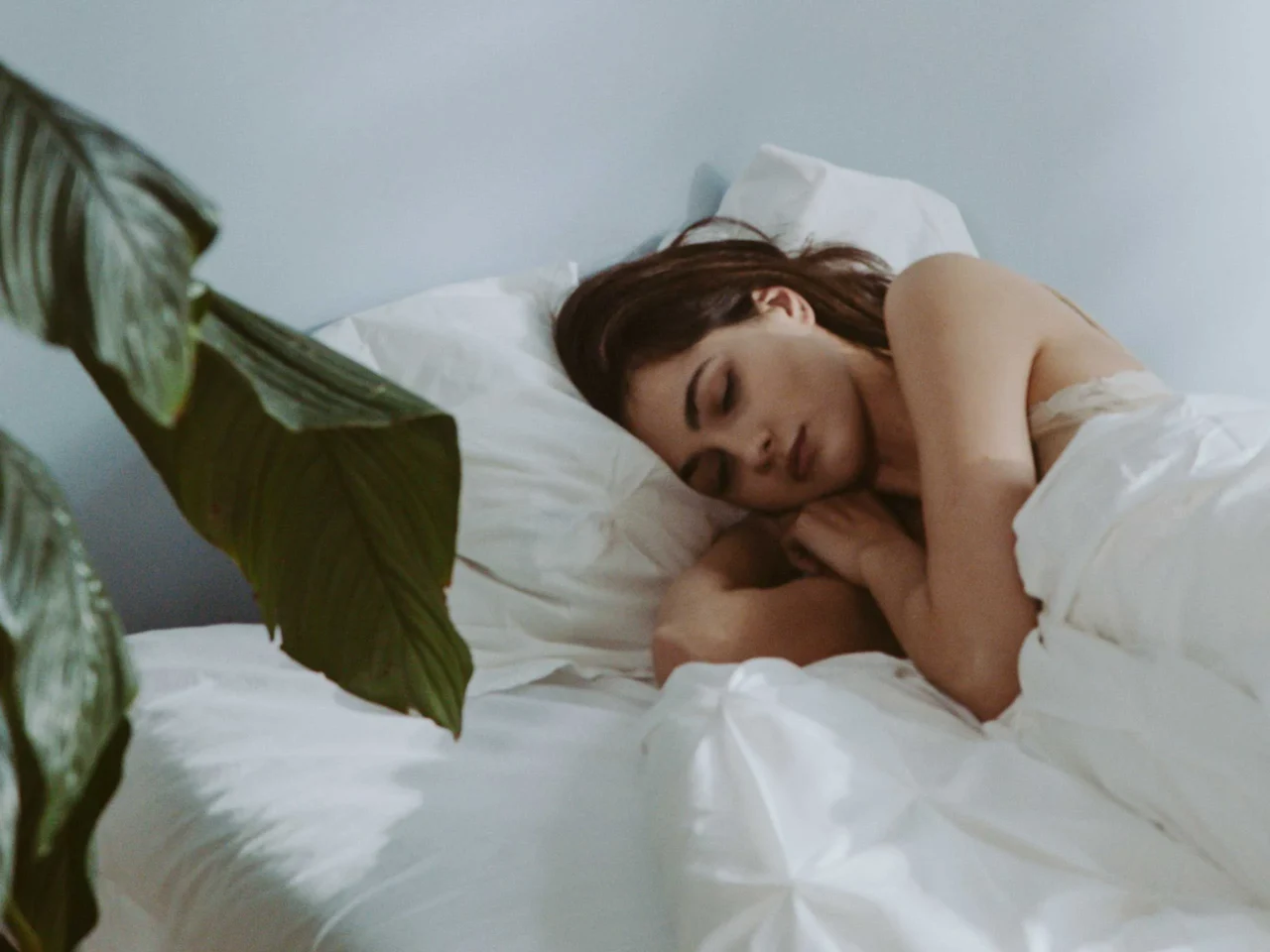 Person sleeping on a white bed with their head on a pillow, a white blanket pulled up, plant leaves visible in the foreground.