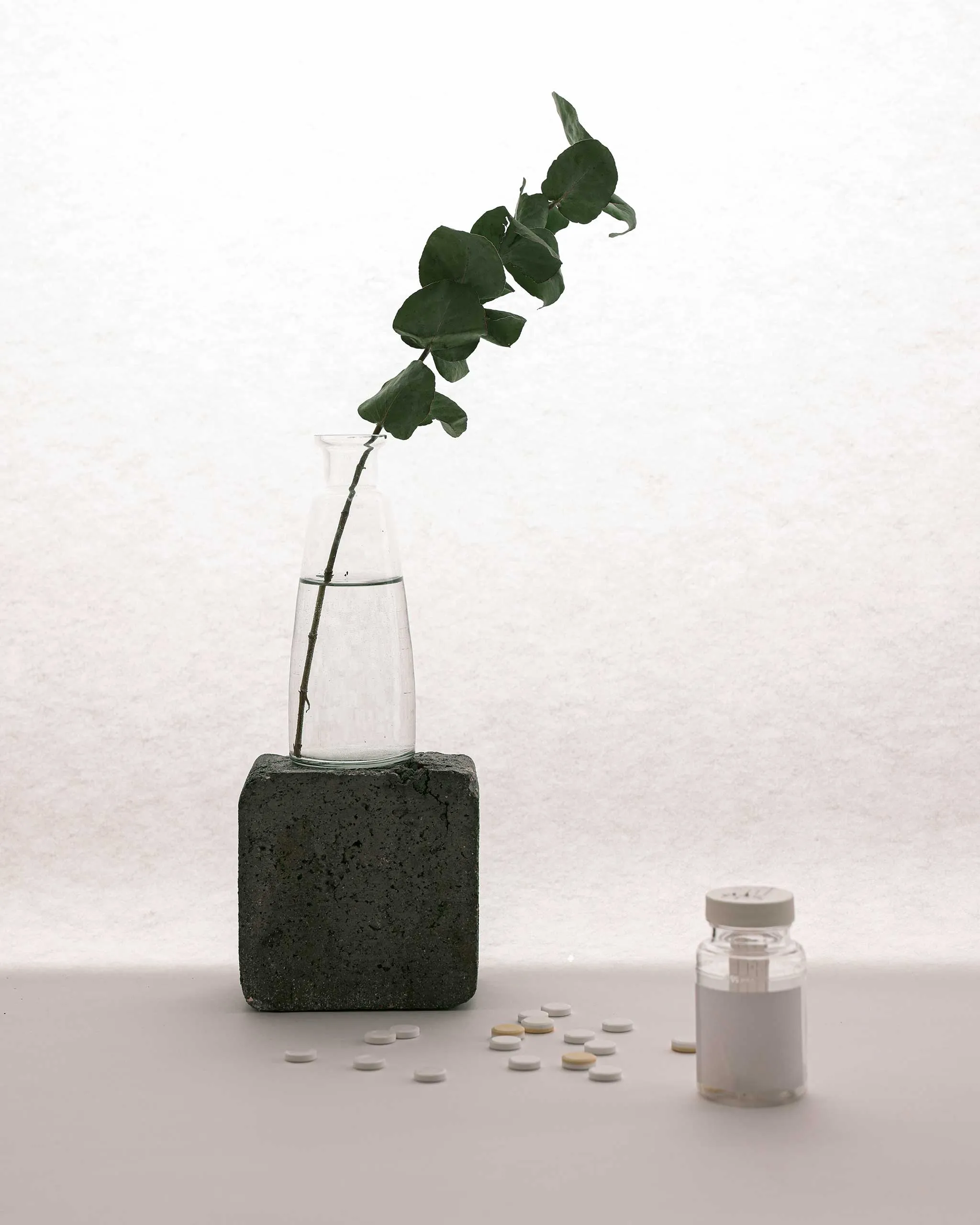 Leafy branch in a glass bottle resting on a rough concrete block, with scattered white tablets on a white surface and a medication bottle nearby.