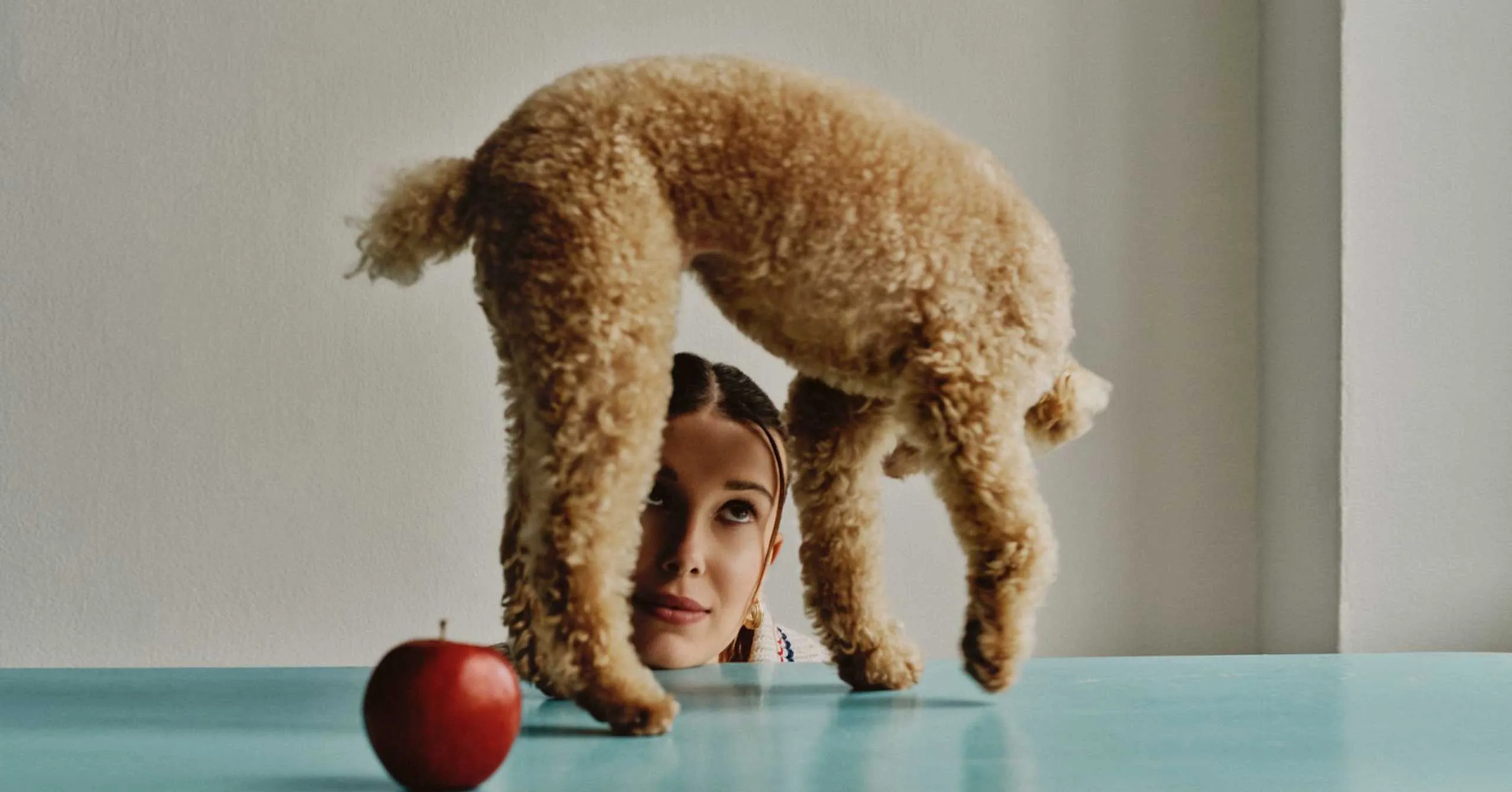 A woman peeks up as a fluffy brown dog stands on her head above a turquoise table with a red apple in the foreground.
