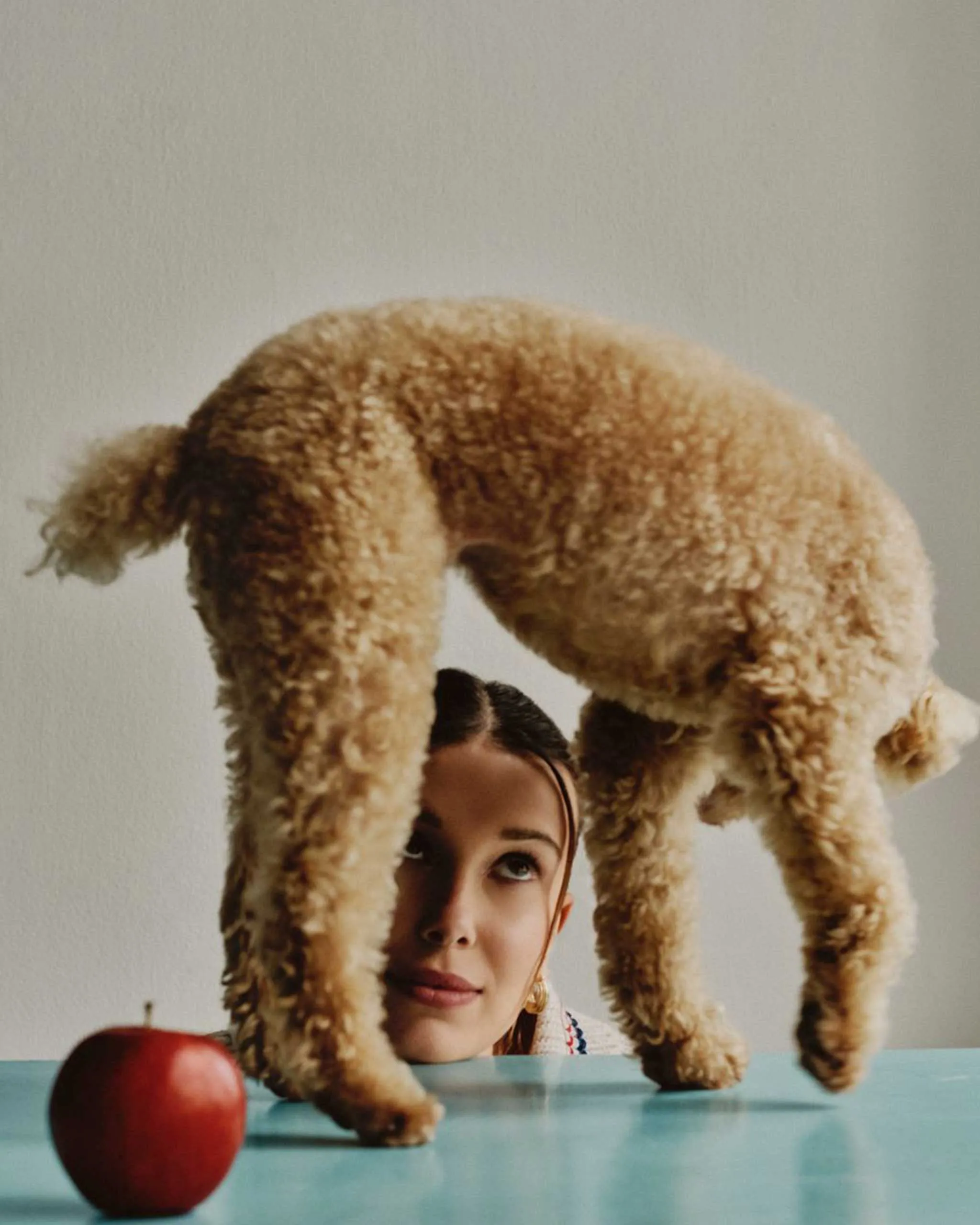 Person peeks over a turquoise table at a red apple in the foreground, as a large beige curly rope hangs overhead.
