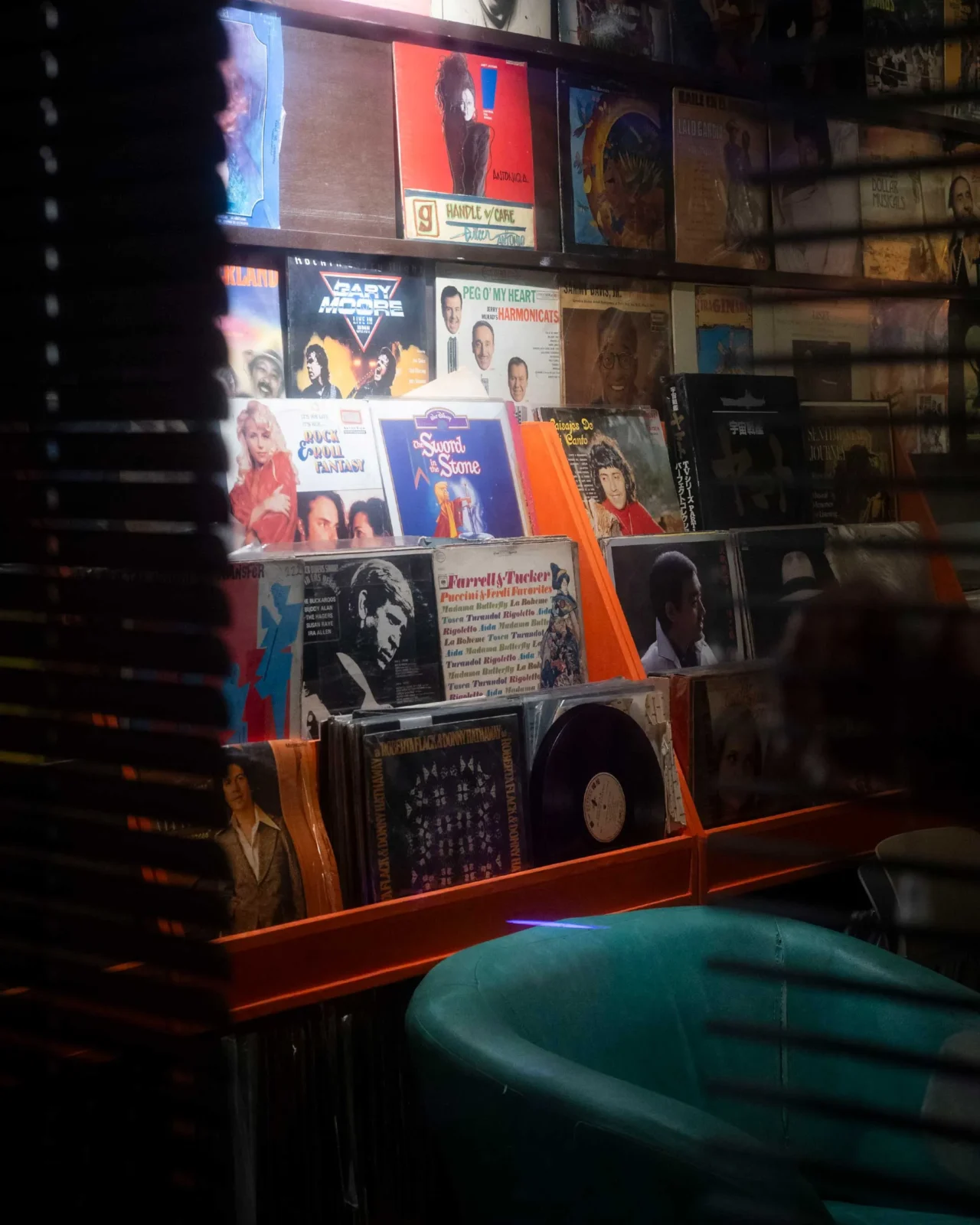 Display of colorful vinyl album covers on shelves in a record shop.