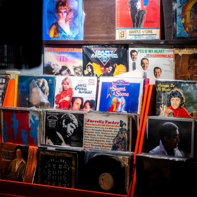 Shelf of colorful vinyl record album covers arranged in two rows on a store display.