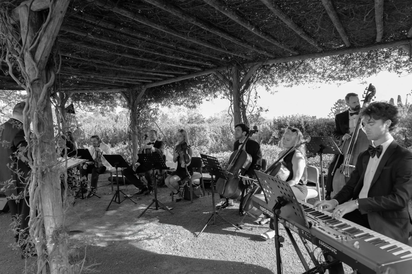 Outdoor string orchestra performing under a vine-covered wooden pergola, musicians in formal wear.