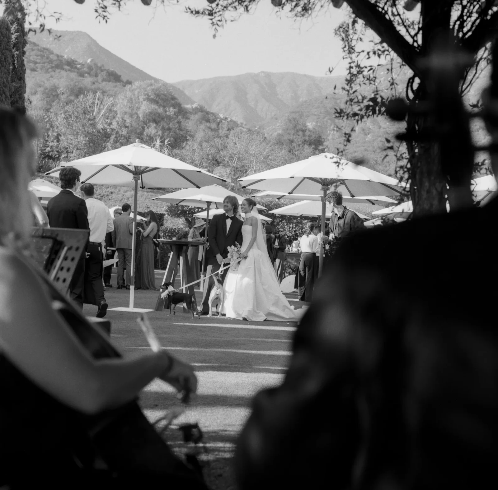 Outdoor wedding reception with guests mingling under white patio umbrellas; mountains in the background (black-and-white photo).