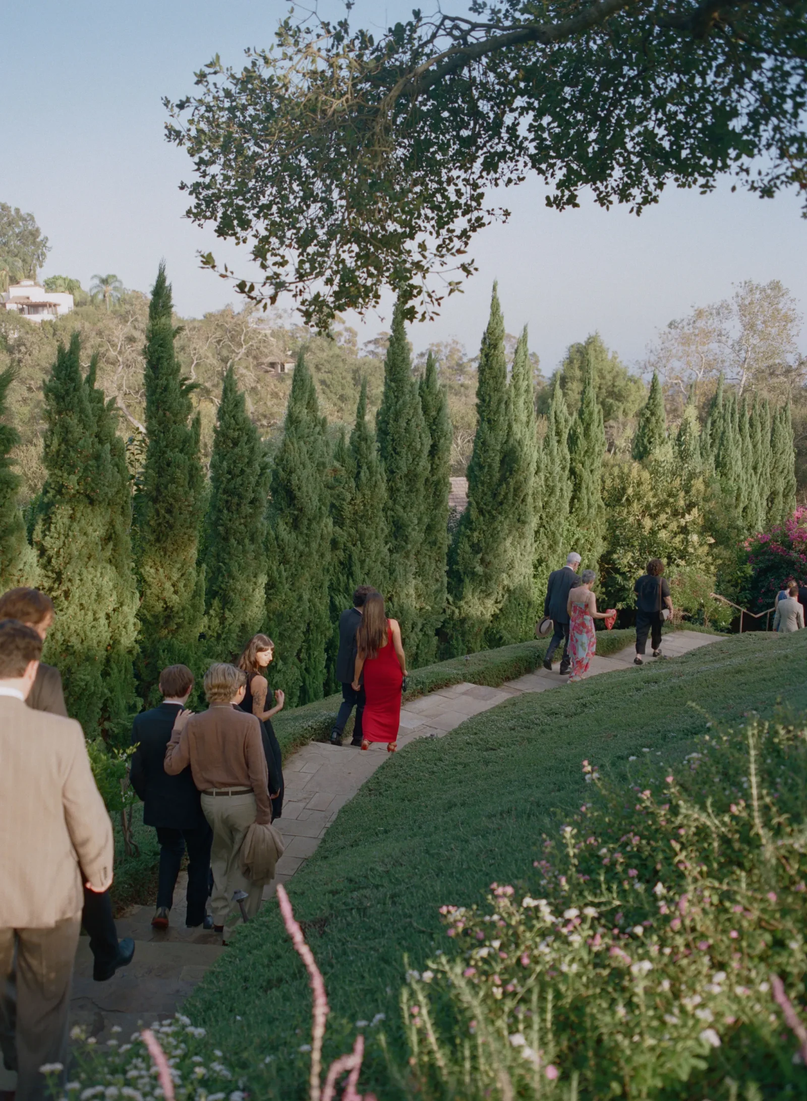 Group of formally dressed people walking along a stone path in a manicured garden with tall evergreen trees and flowering plants in the foreground.