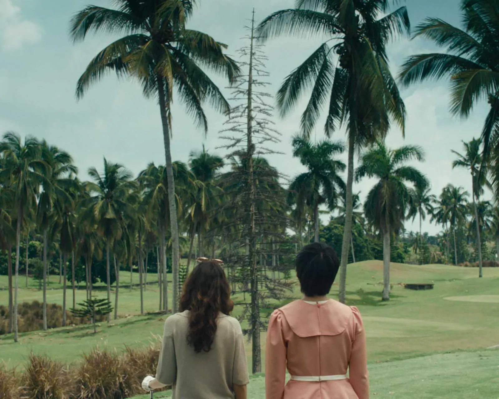 Two people stand with their backs to the camera in a palm-tree park on a sunny day.