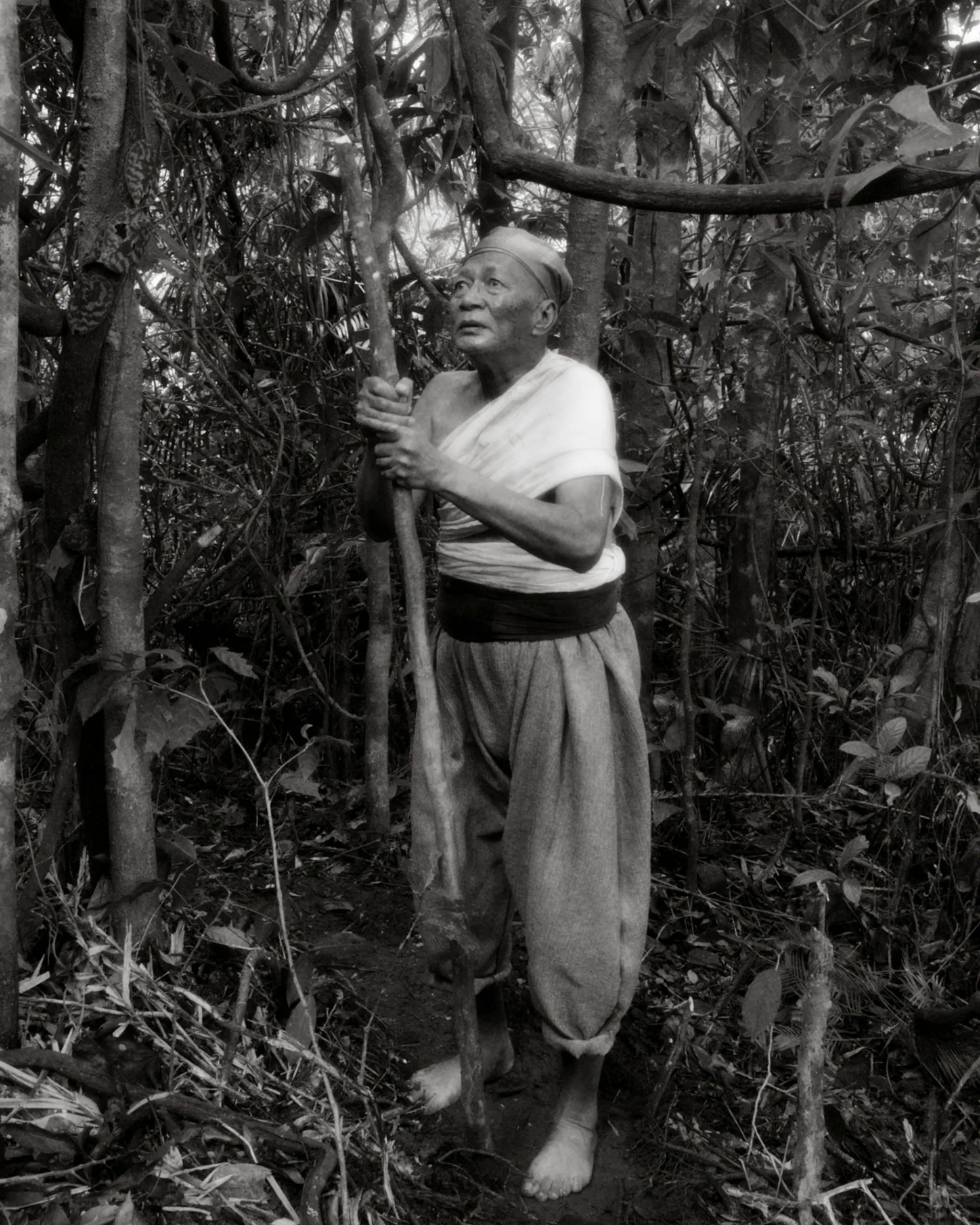 Older man in a simple white wrap and headband stands among dense jungle, gripping a wooden staff and looking upward.